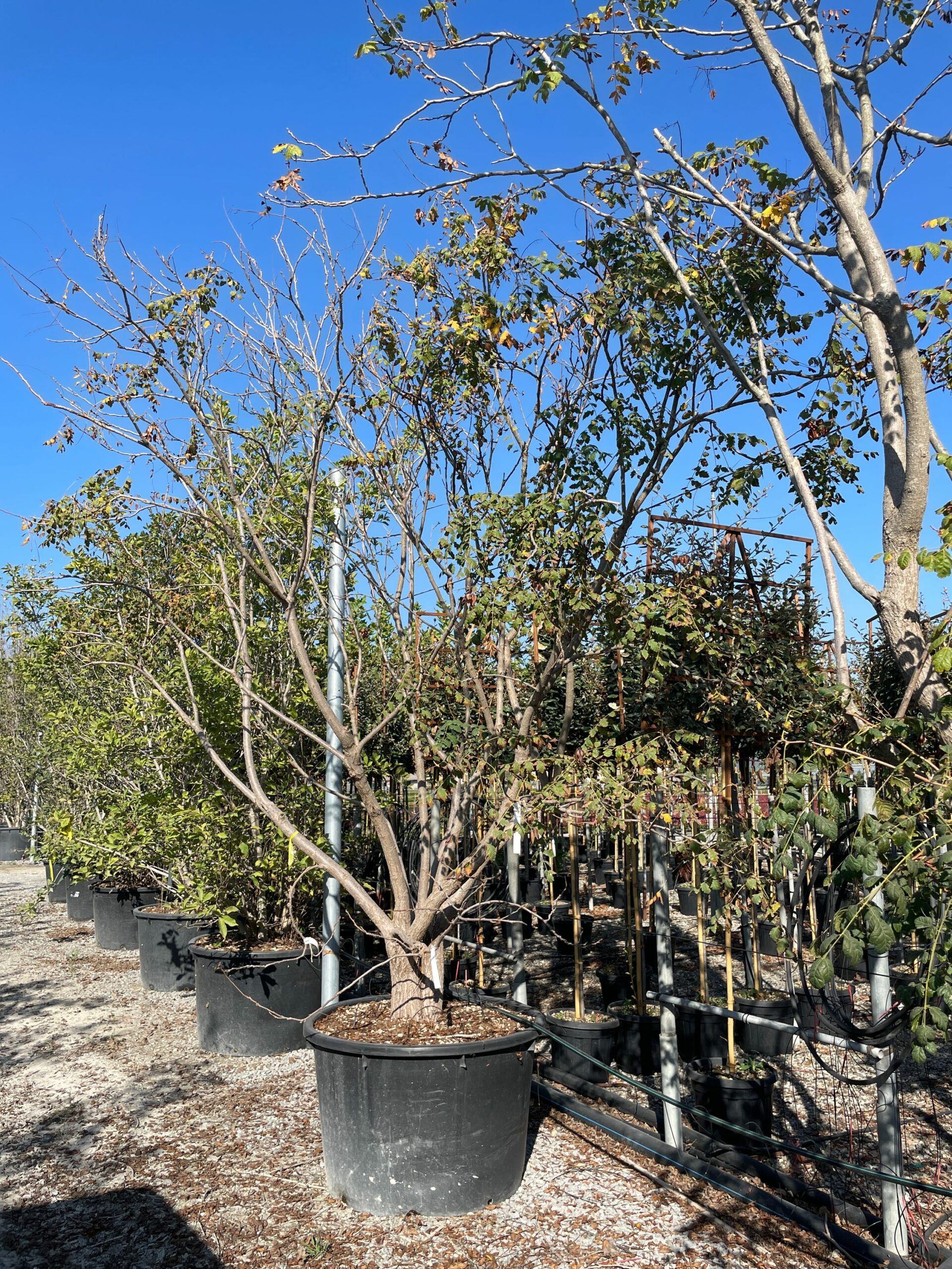 1666184277 scaled b17a4741