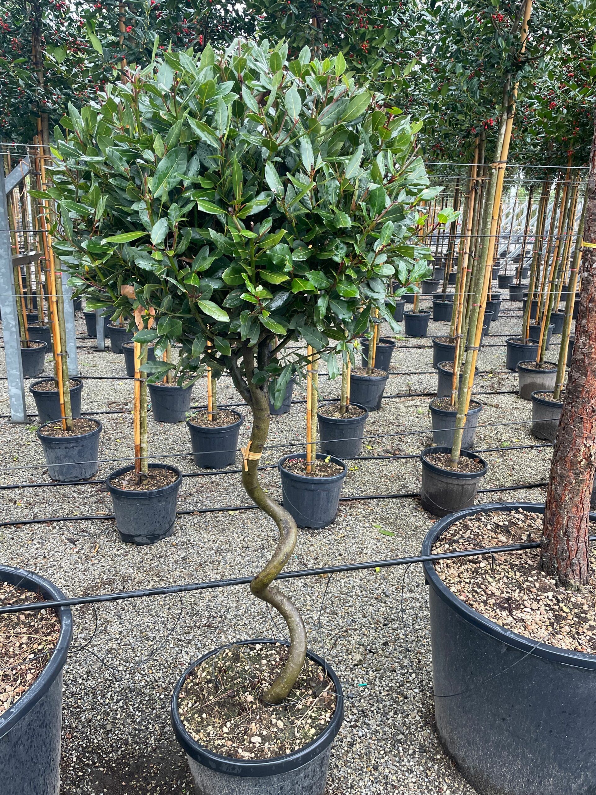 1677400209 scaled b17915a5