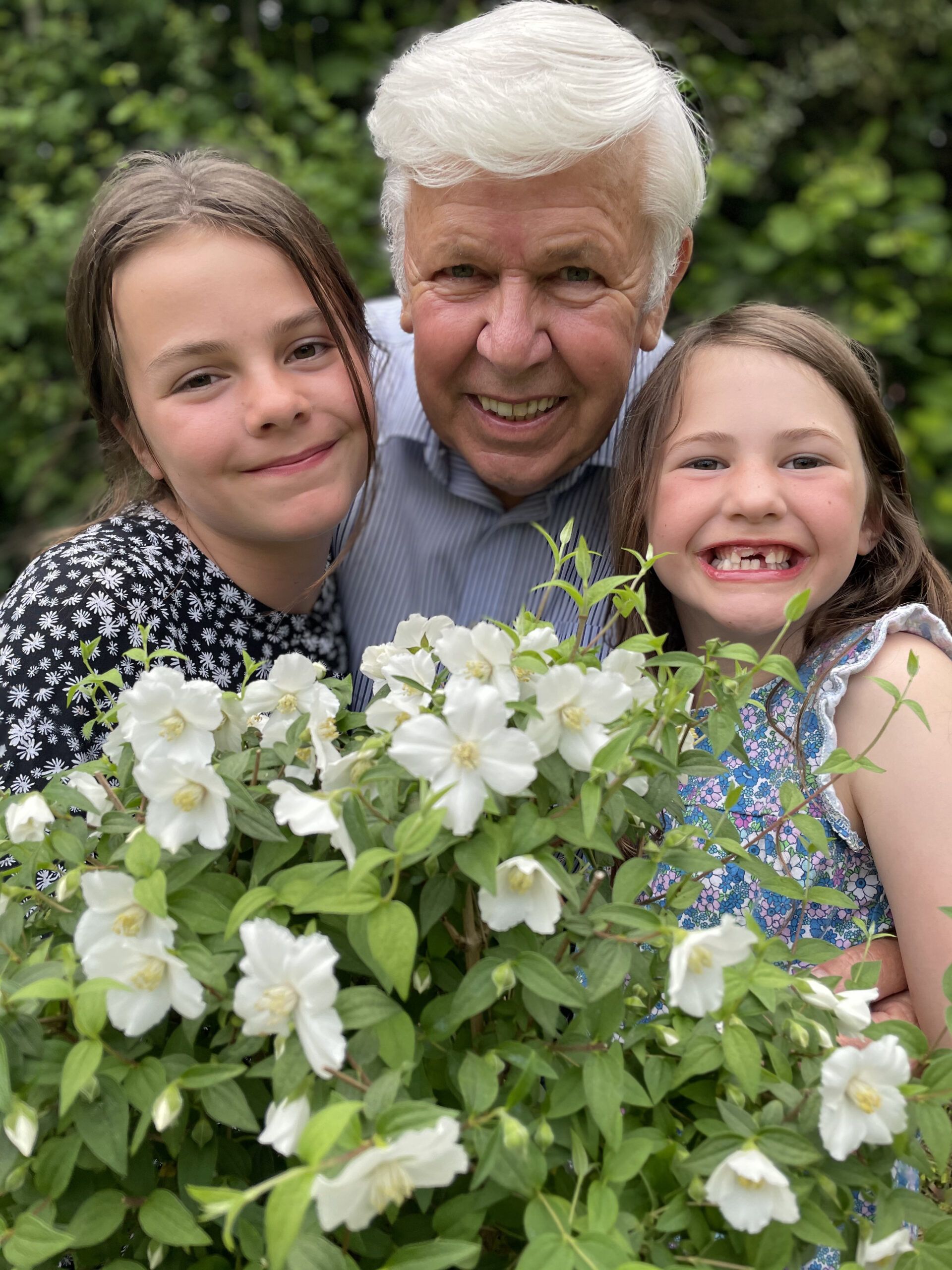 Philadelphus Petite Perfume White 2 scaled b1519722