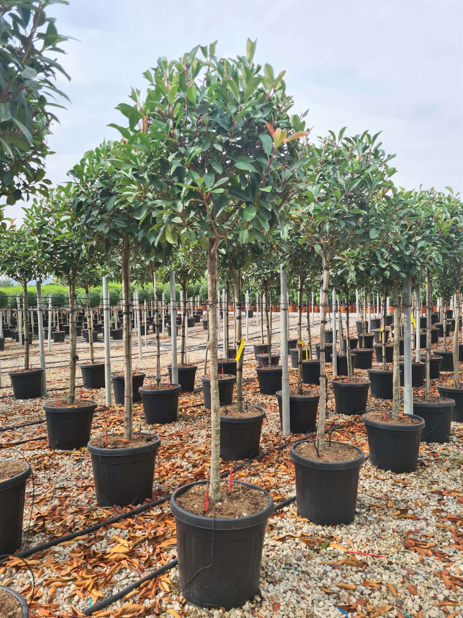 1631797357 scaled b28197e6