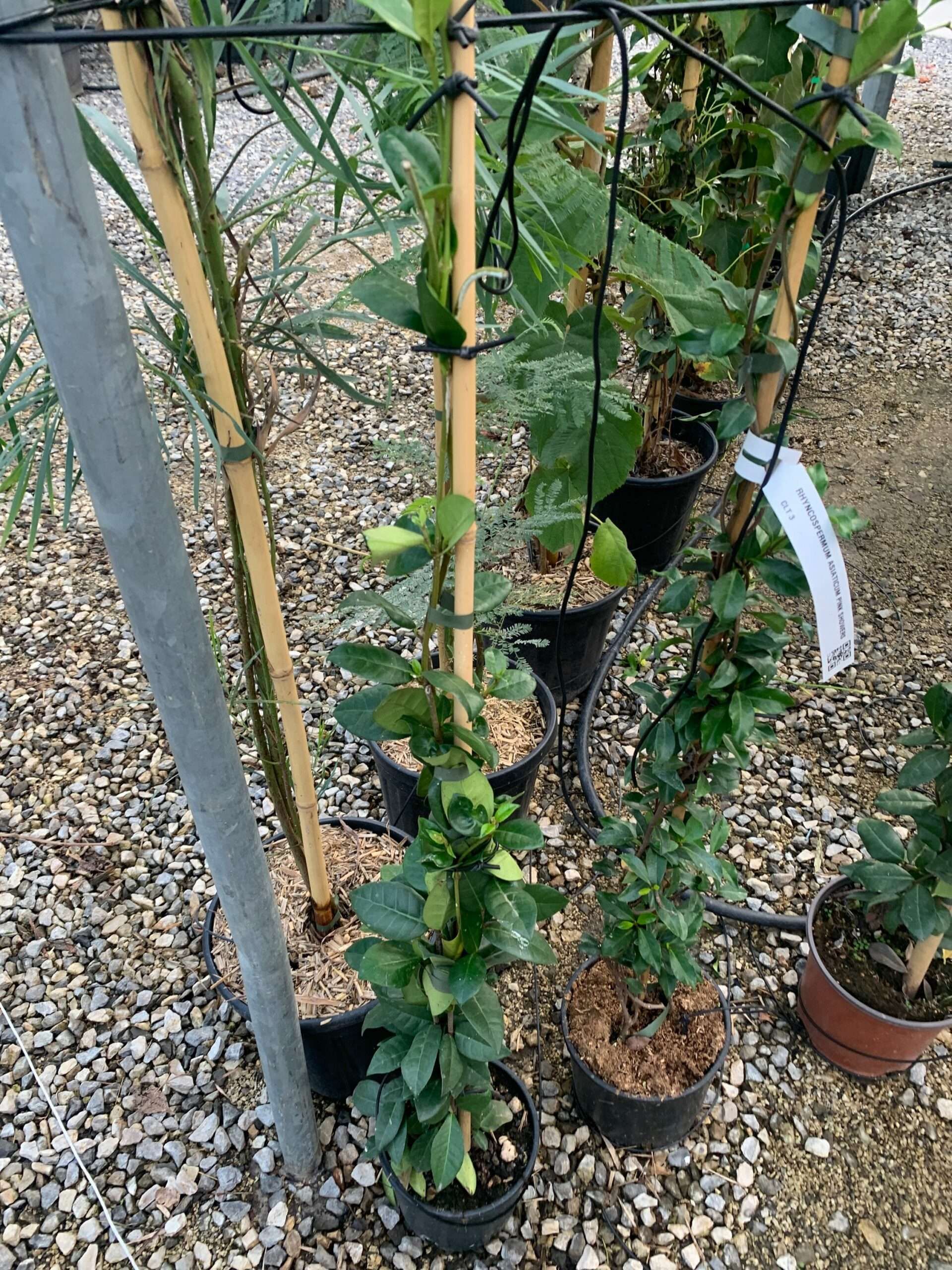 1633447993 scaled b27777f1