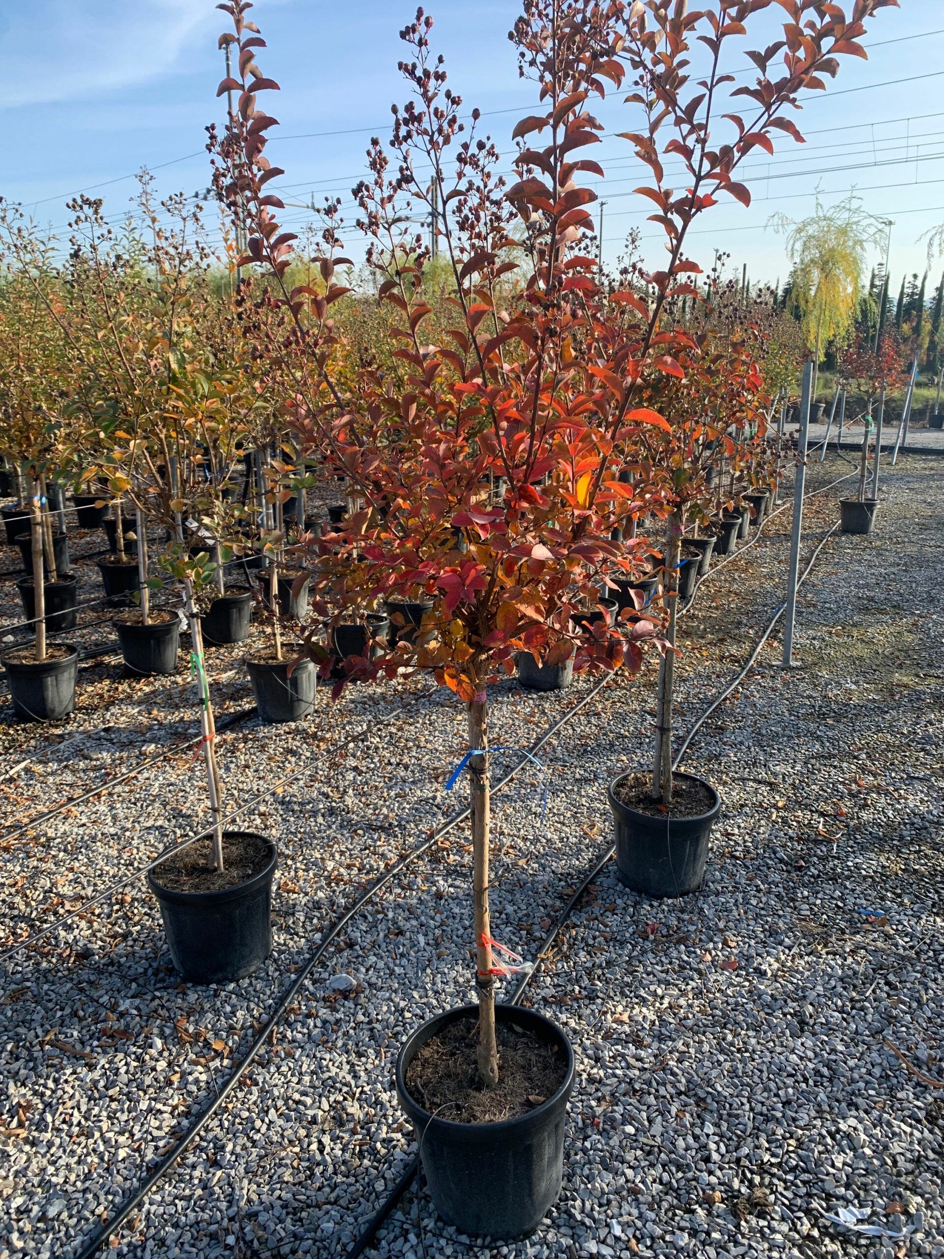 1635430158 scaled b2e5a2b0