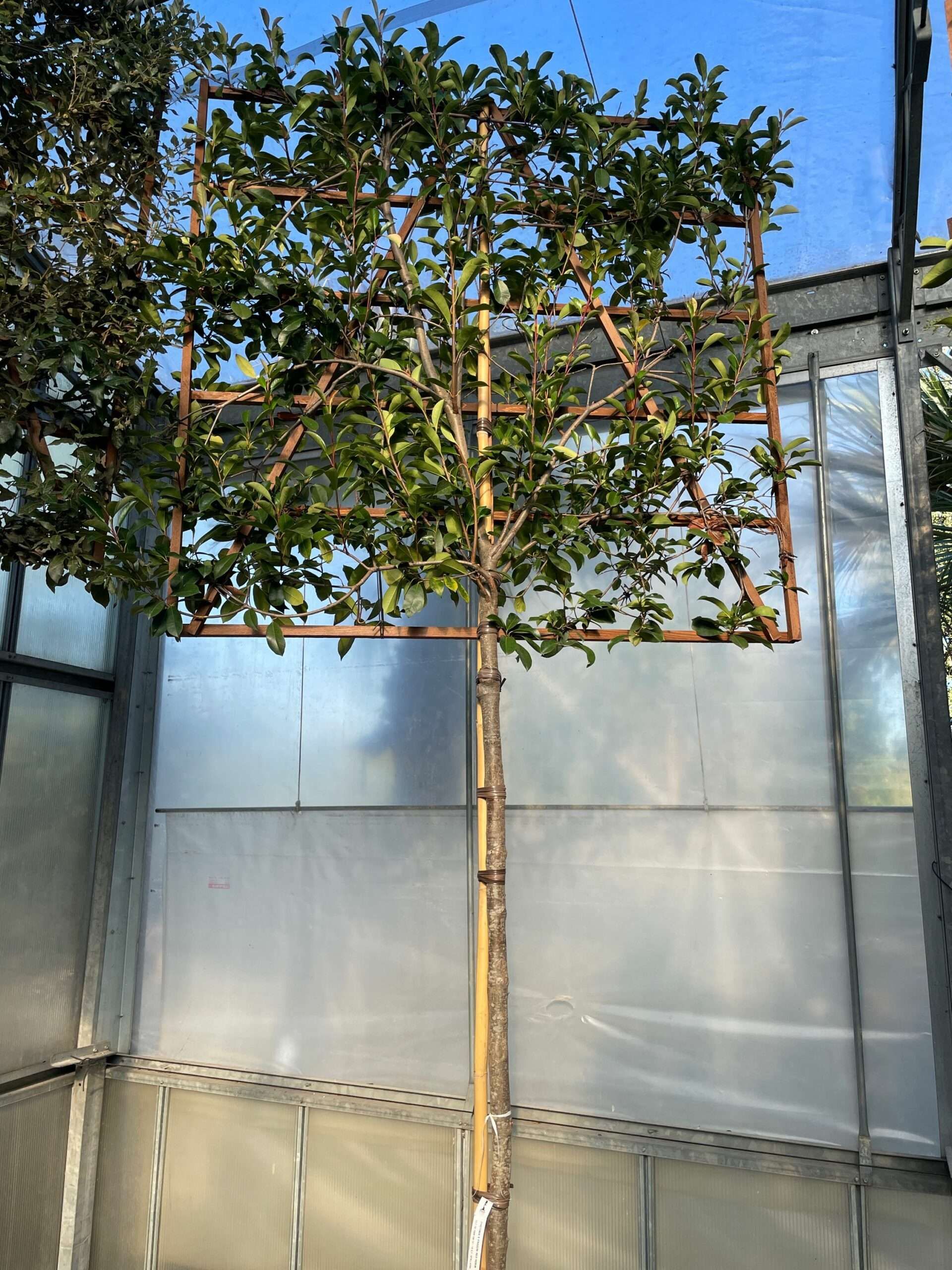 1661356021 scaled b216e039