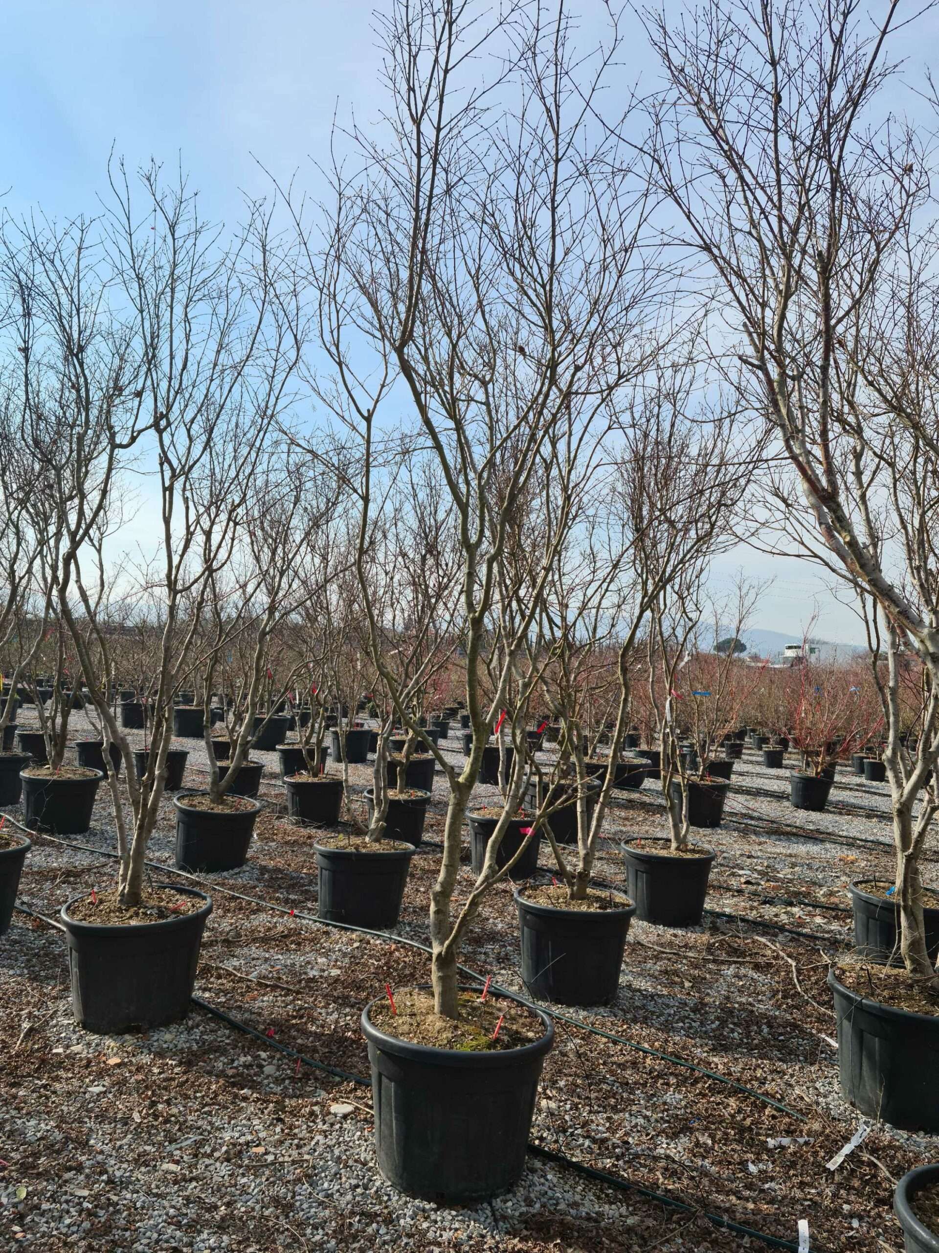 1675075286 scaled b2a1ee45