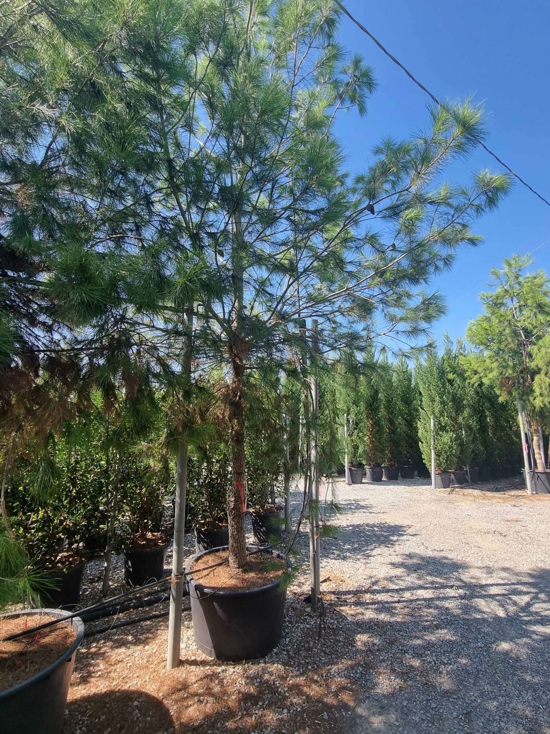 1692694025 scaled b29b53b1