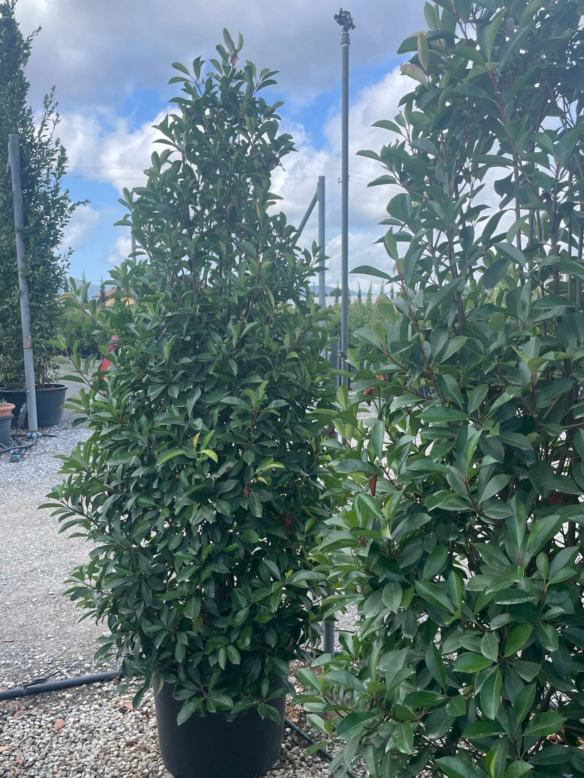 1693209200 scaled b27f24fa