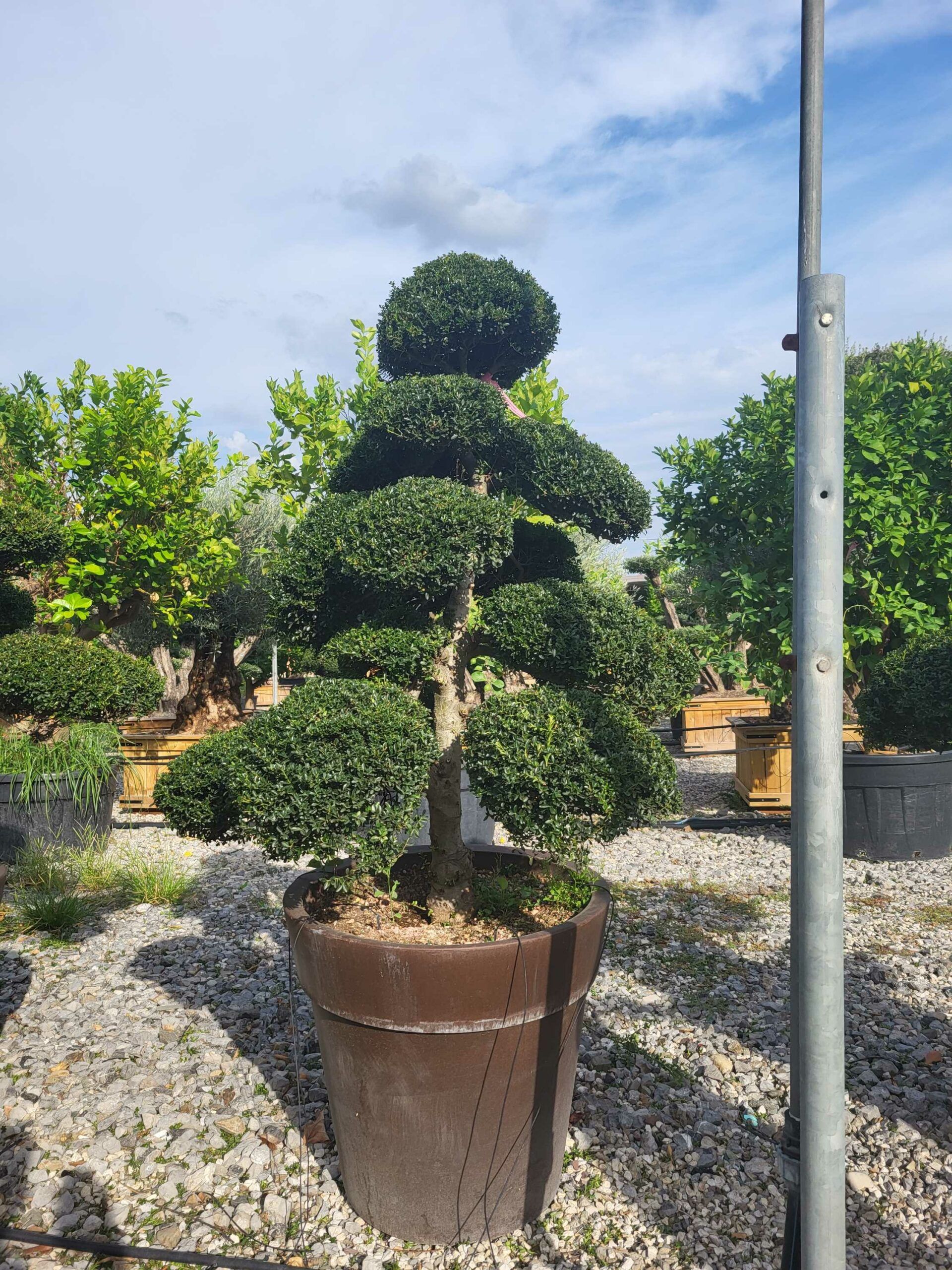 1694703759 scaled b2f2aabe