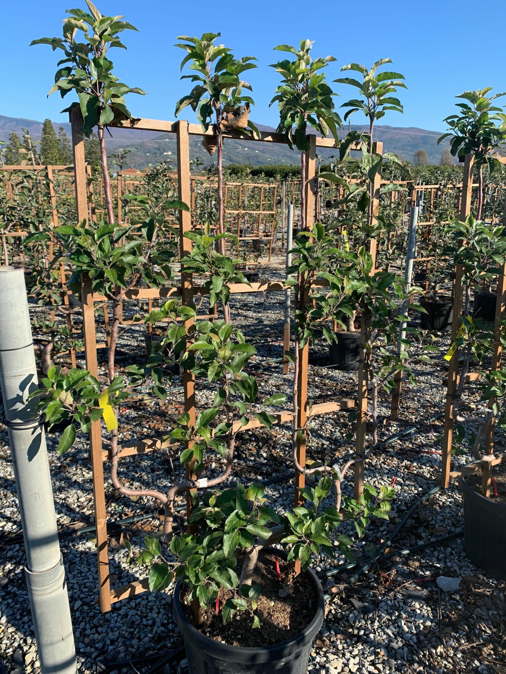 1637746190 scaled b3535149