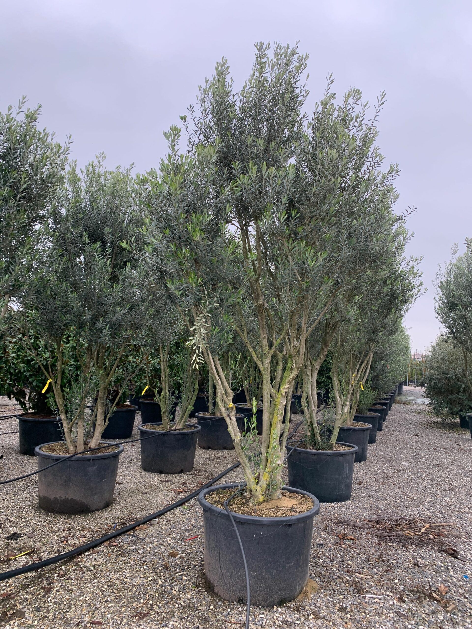 1641208723 scaled b3aae6e6