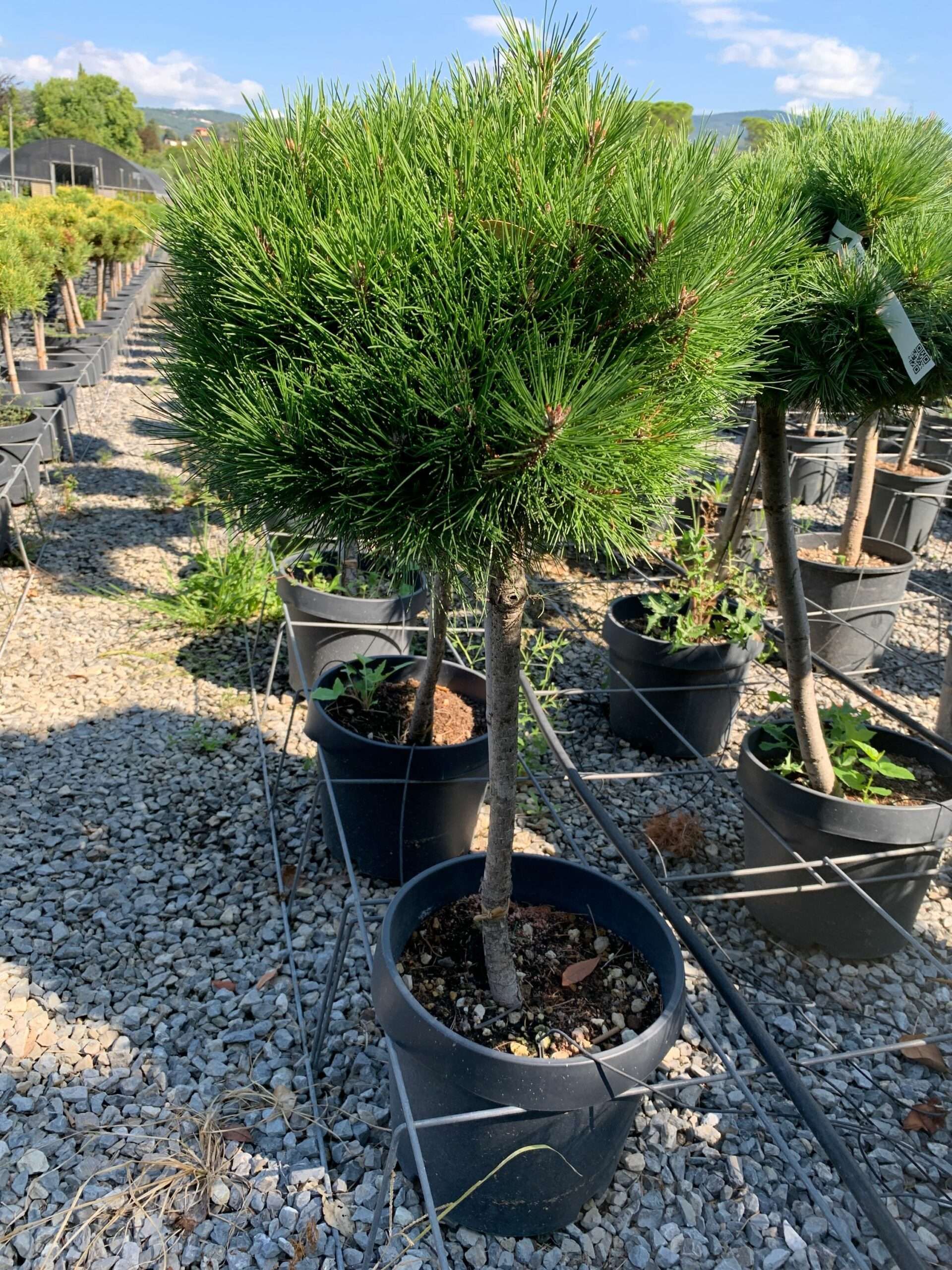 1662109160 scaled b3902ce7