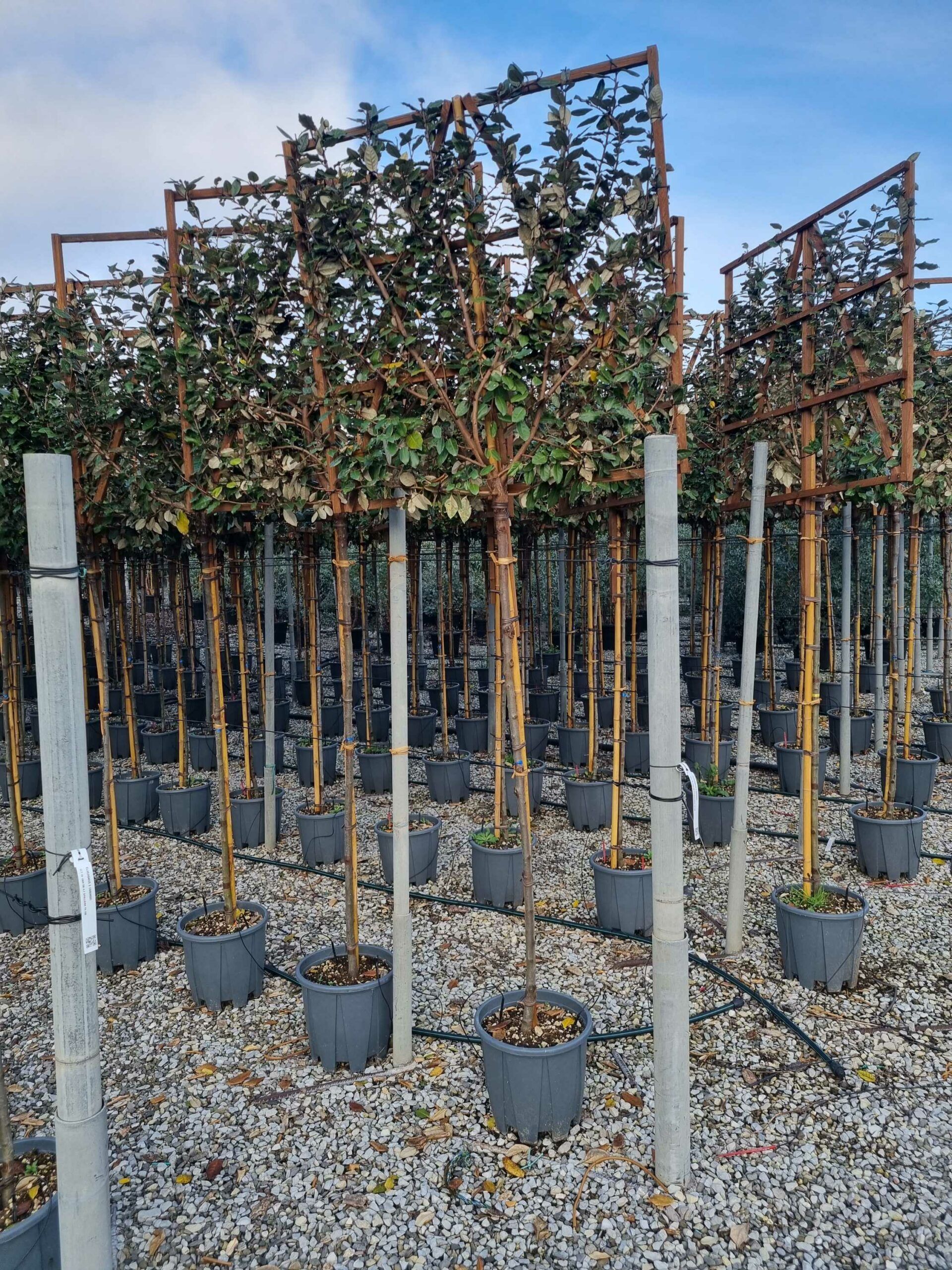 1672909728 scaled b30cdb5e