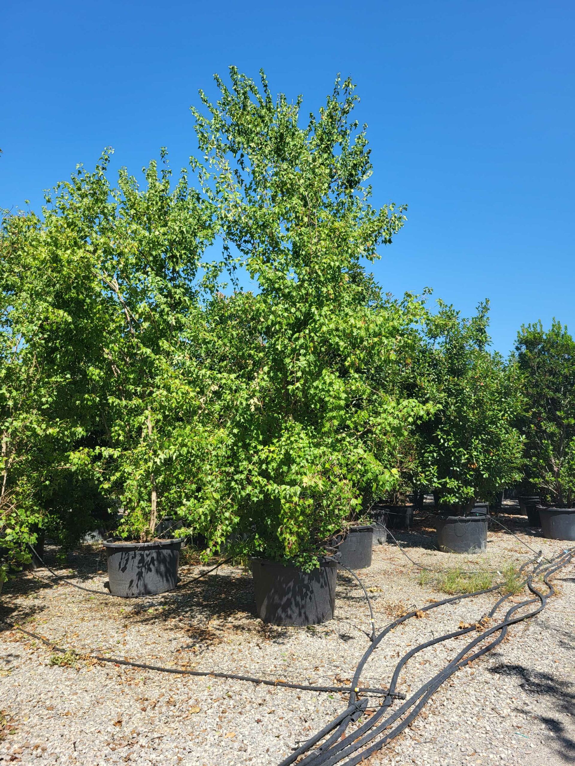 1692610779 scaled b3be803f