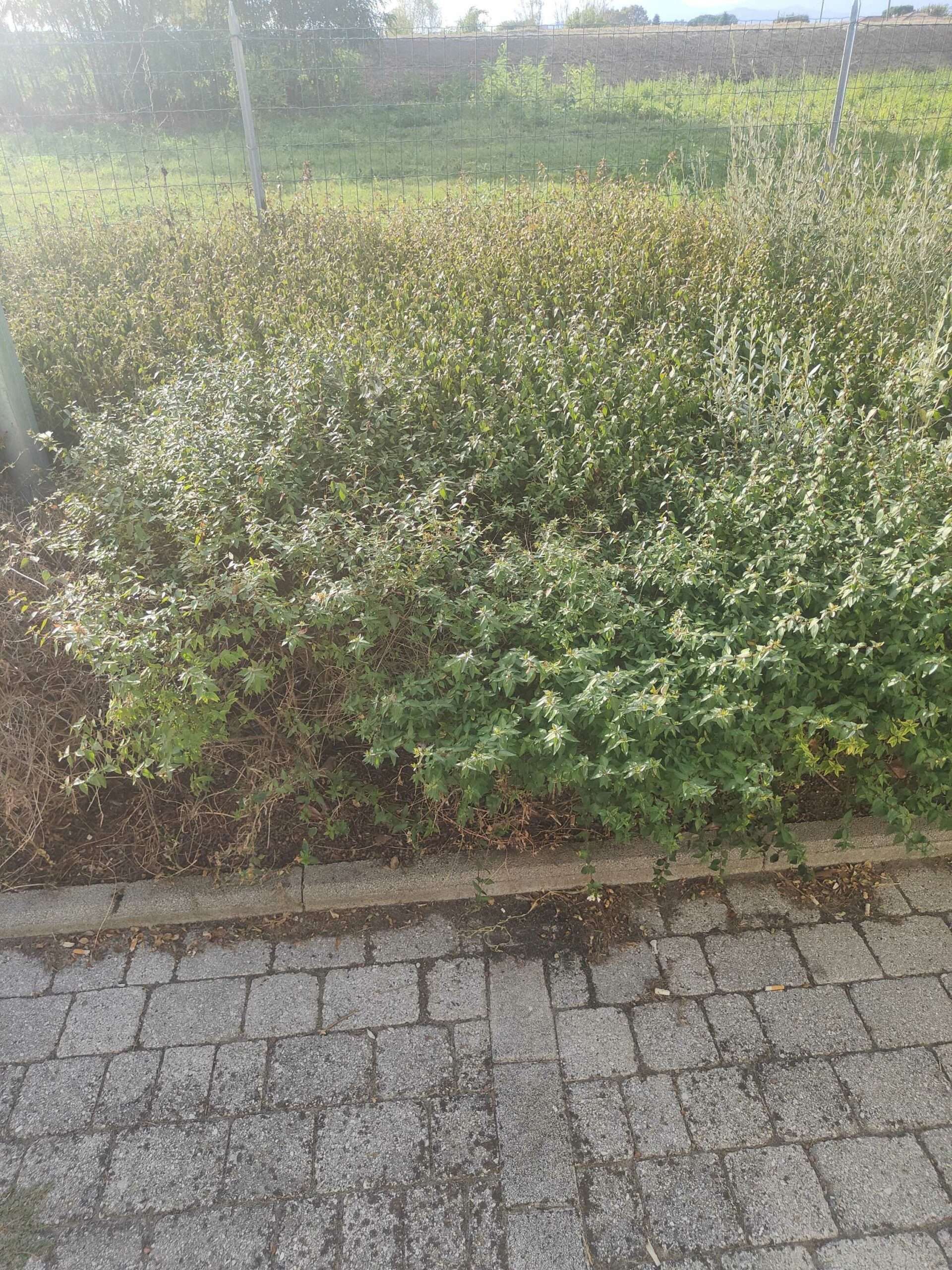 1694704371 scaled b3b17479