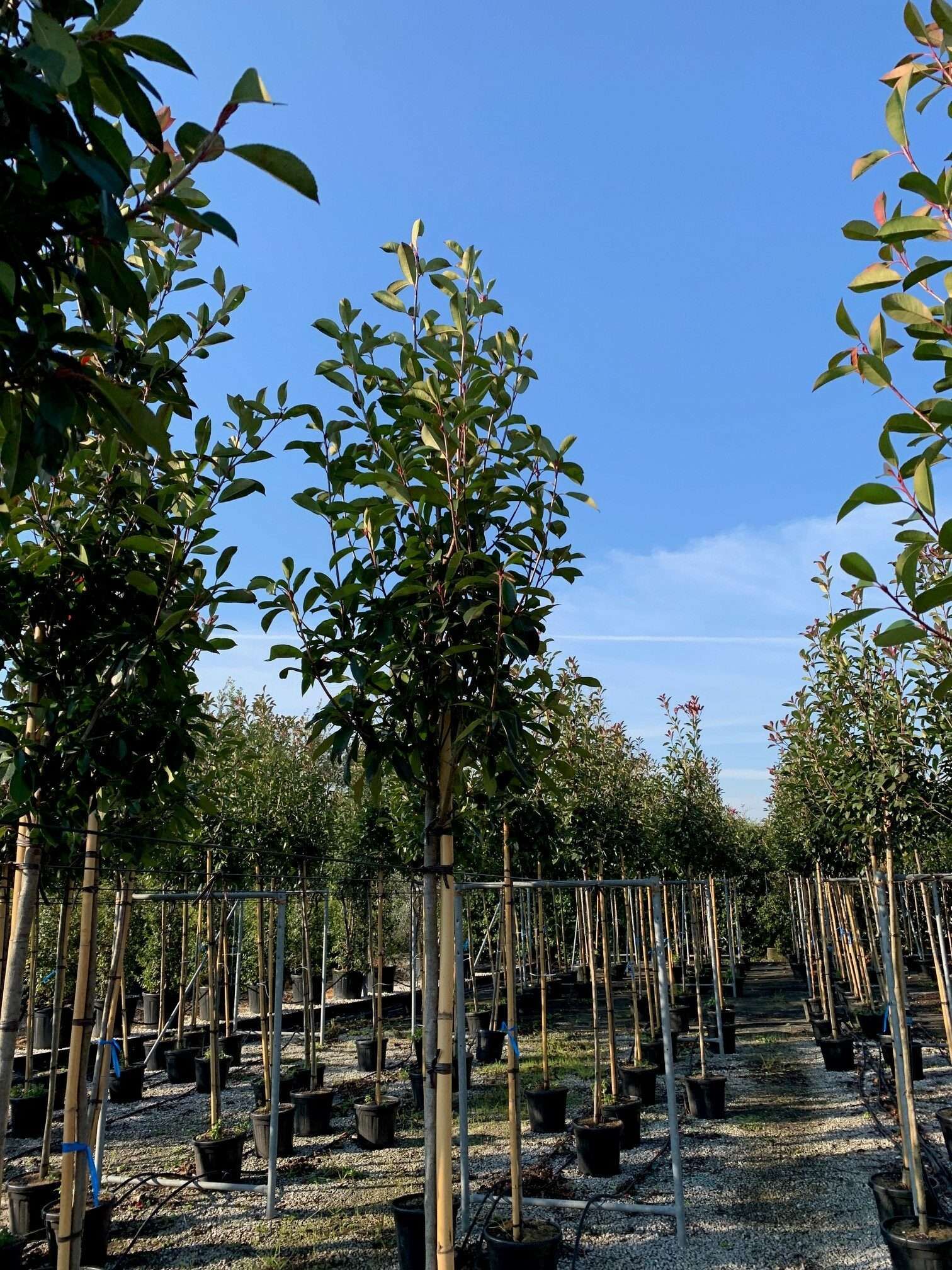 1606498951 rotated b4026fb7