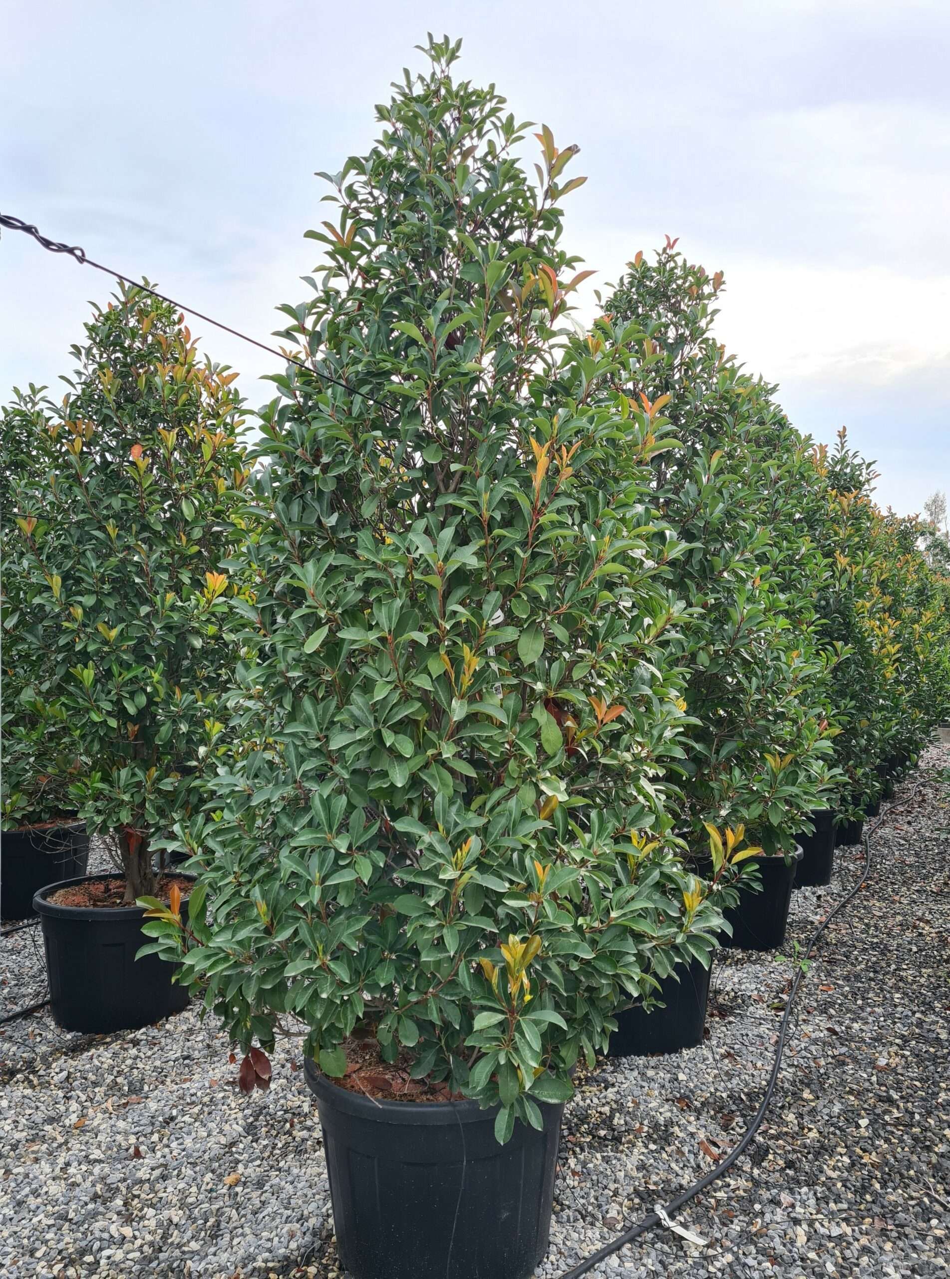 1631797813 10 scaled b493f251