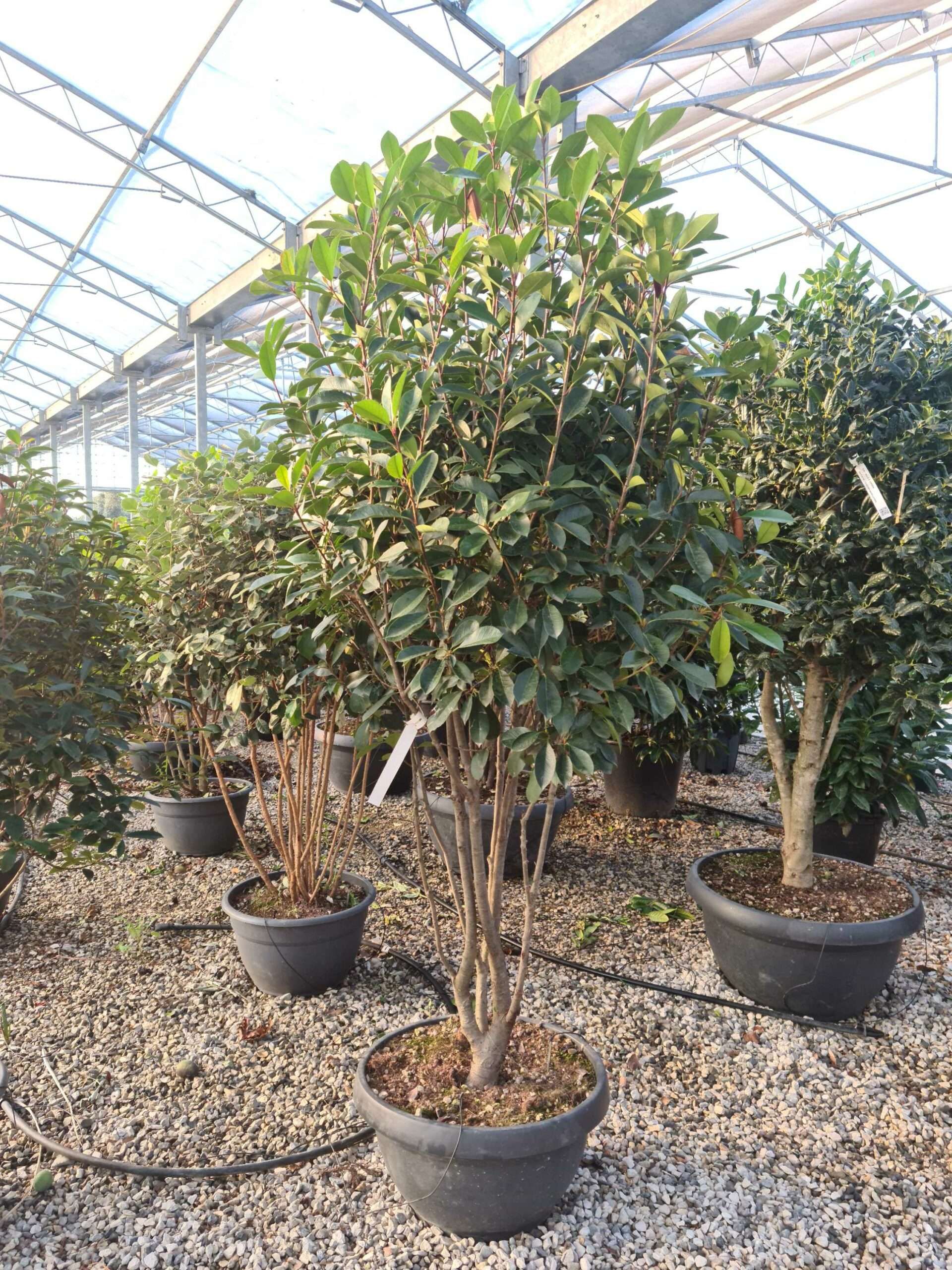 1639469939 scaled b44ba8a1