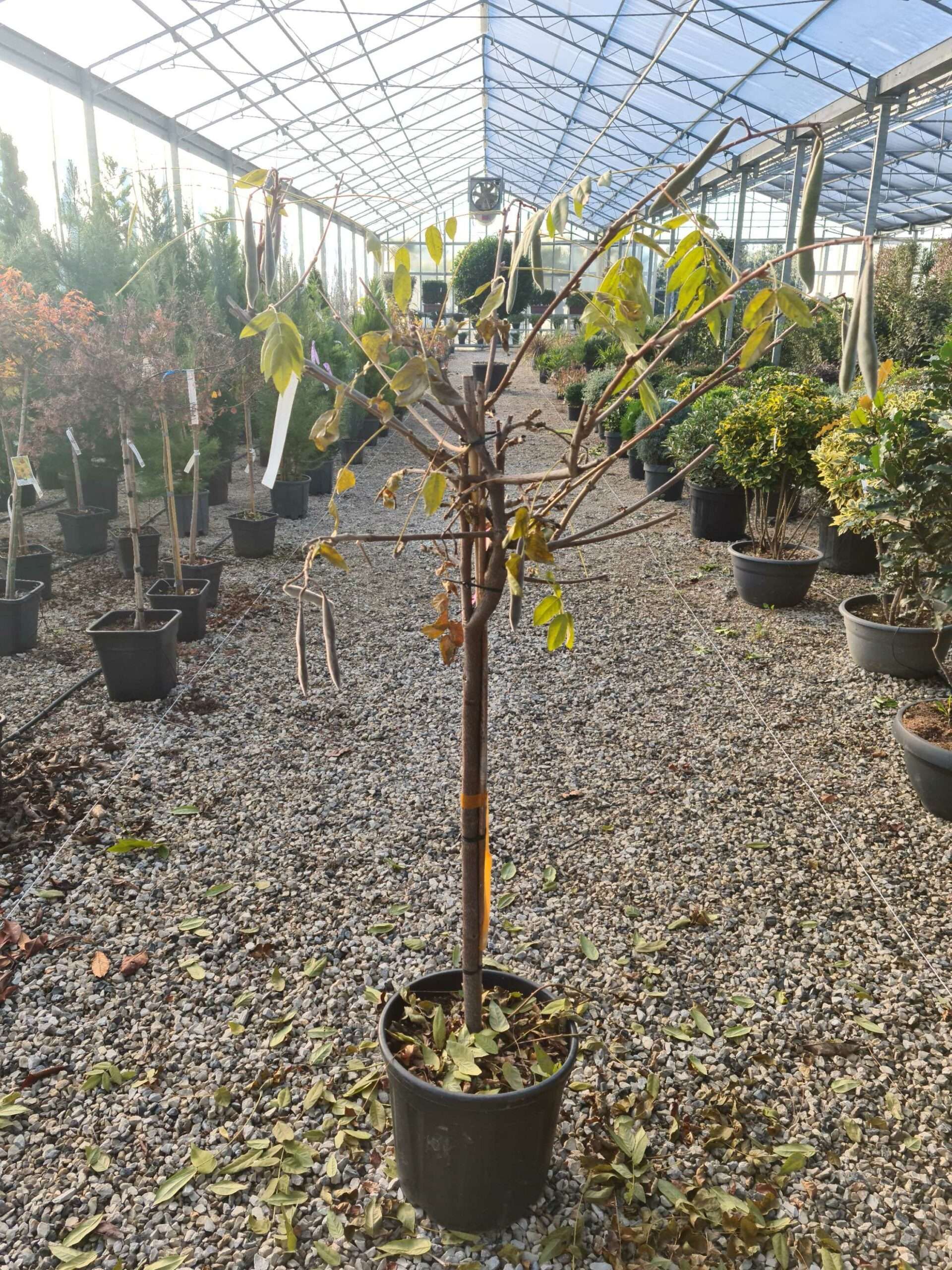 1639472809 scaled b4675f60