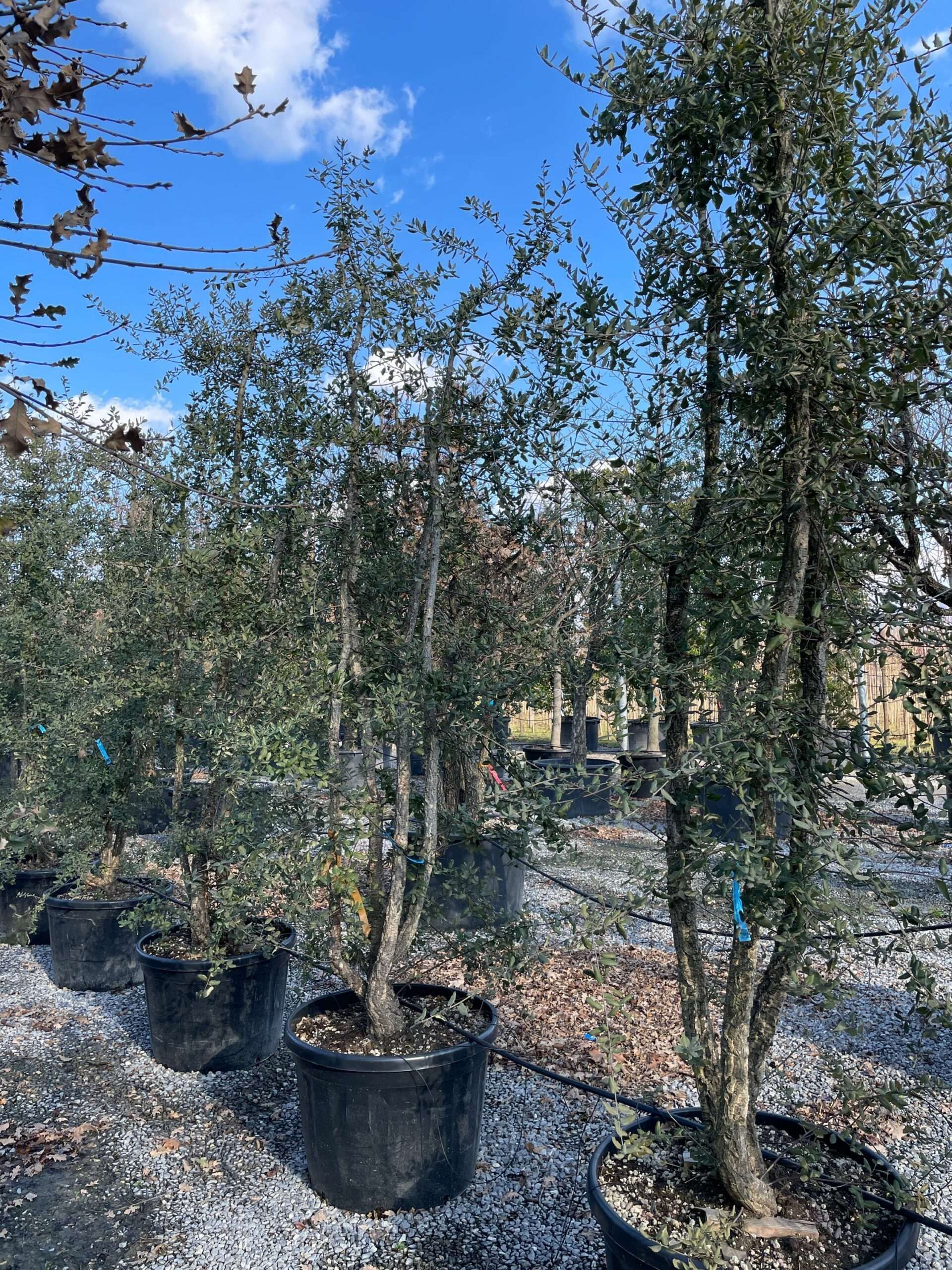 1644241233 scaled b4b959b3