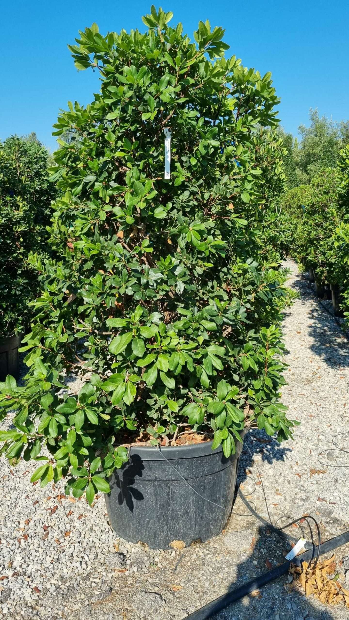 1658475054 scaled b4149272