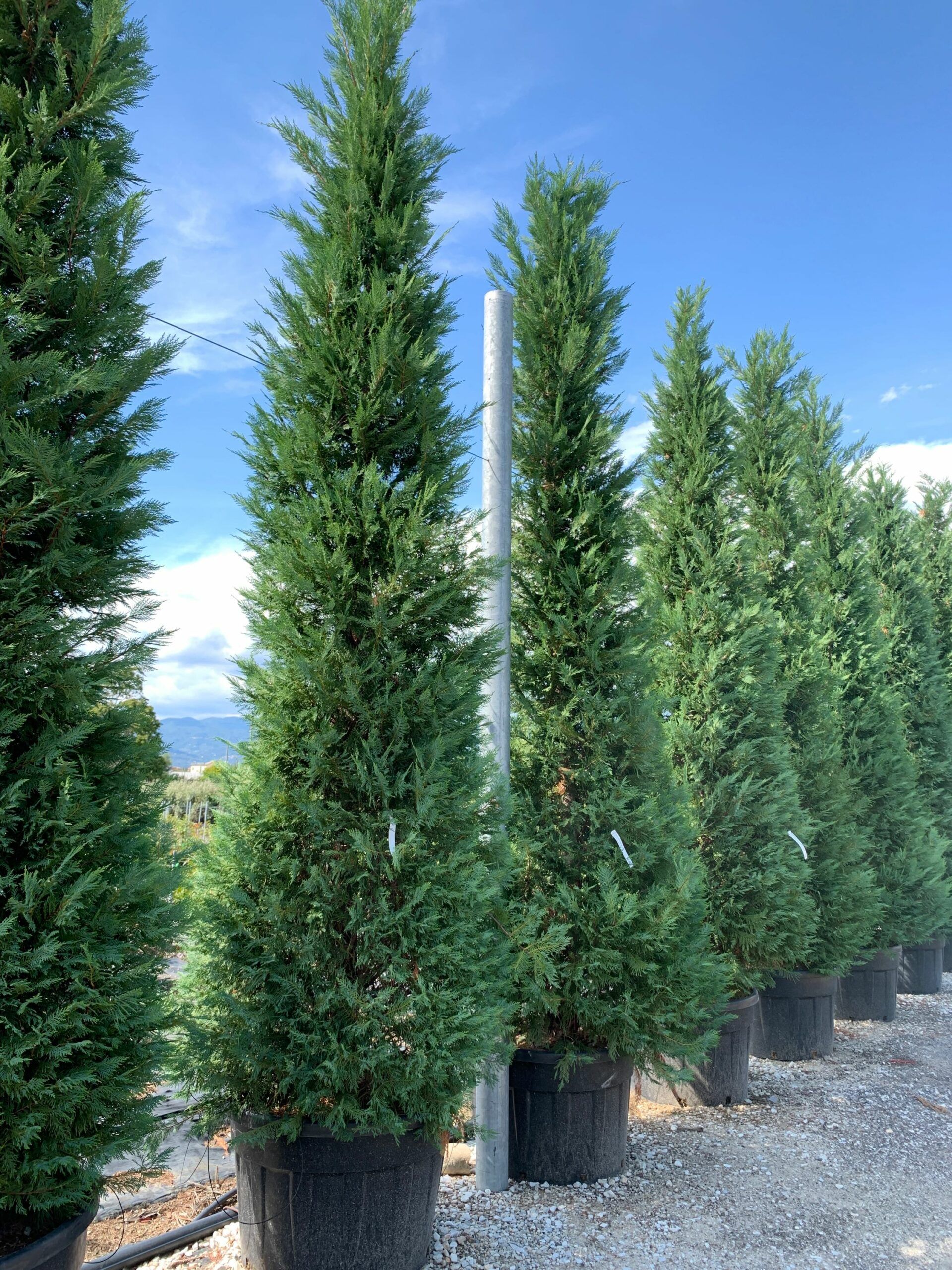 1662123187 scaled b491dce1