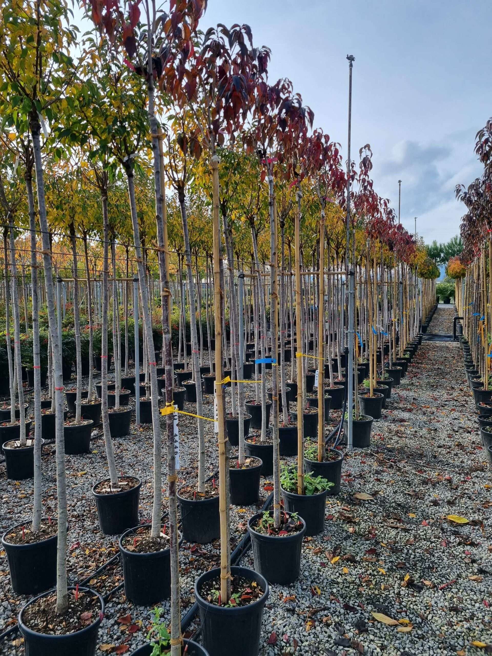 1669033637 scaled b465367e