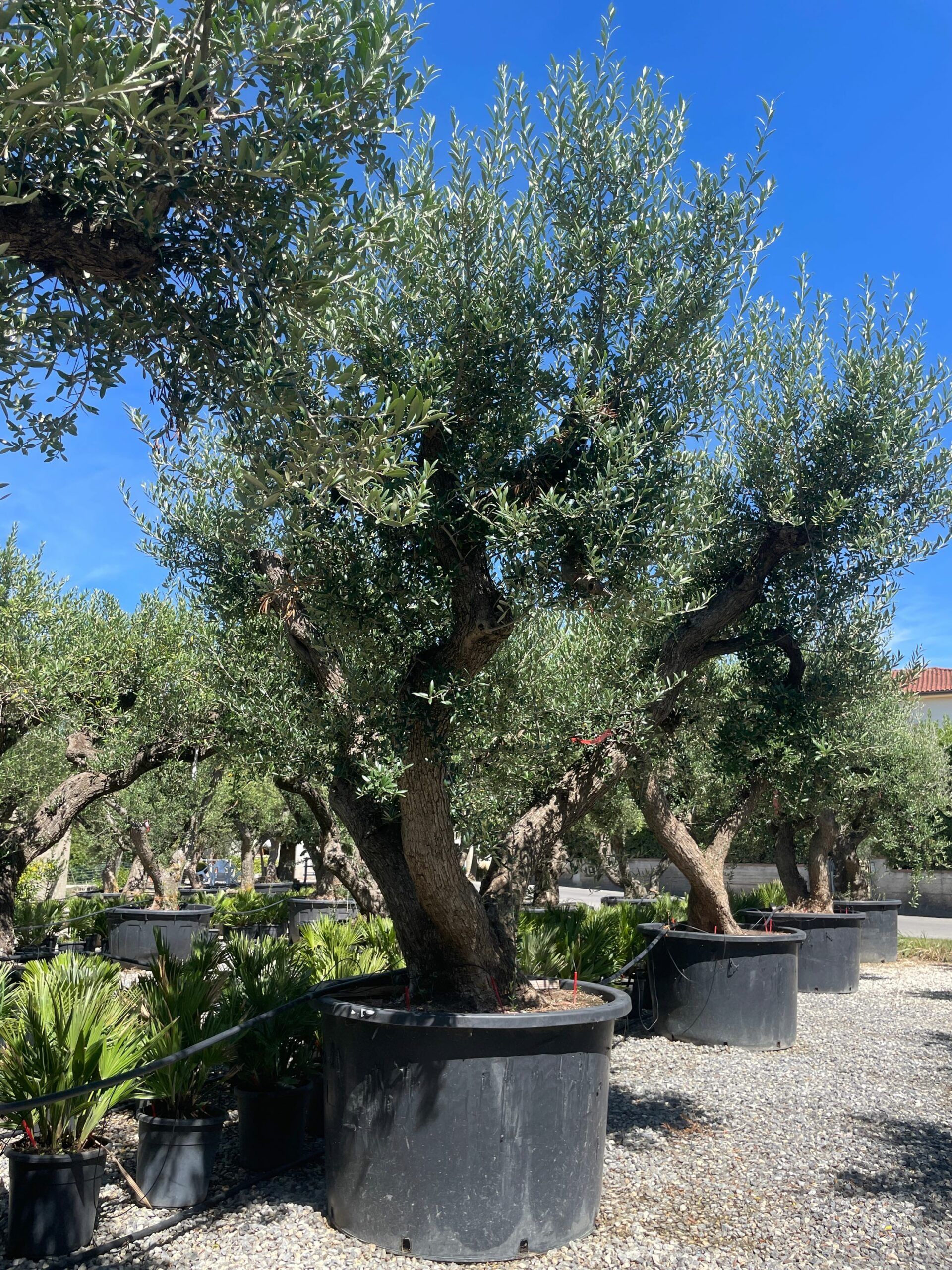 1691499577 1 scaled b4714541