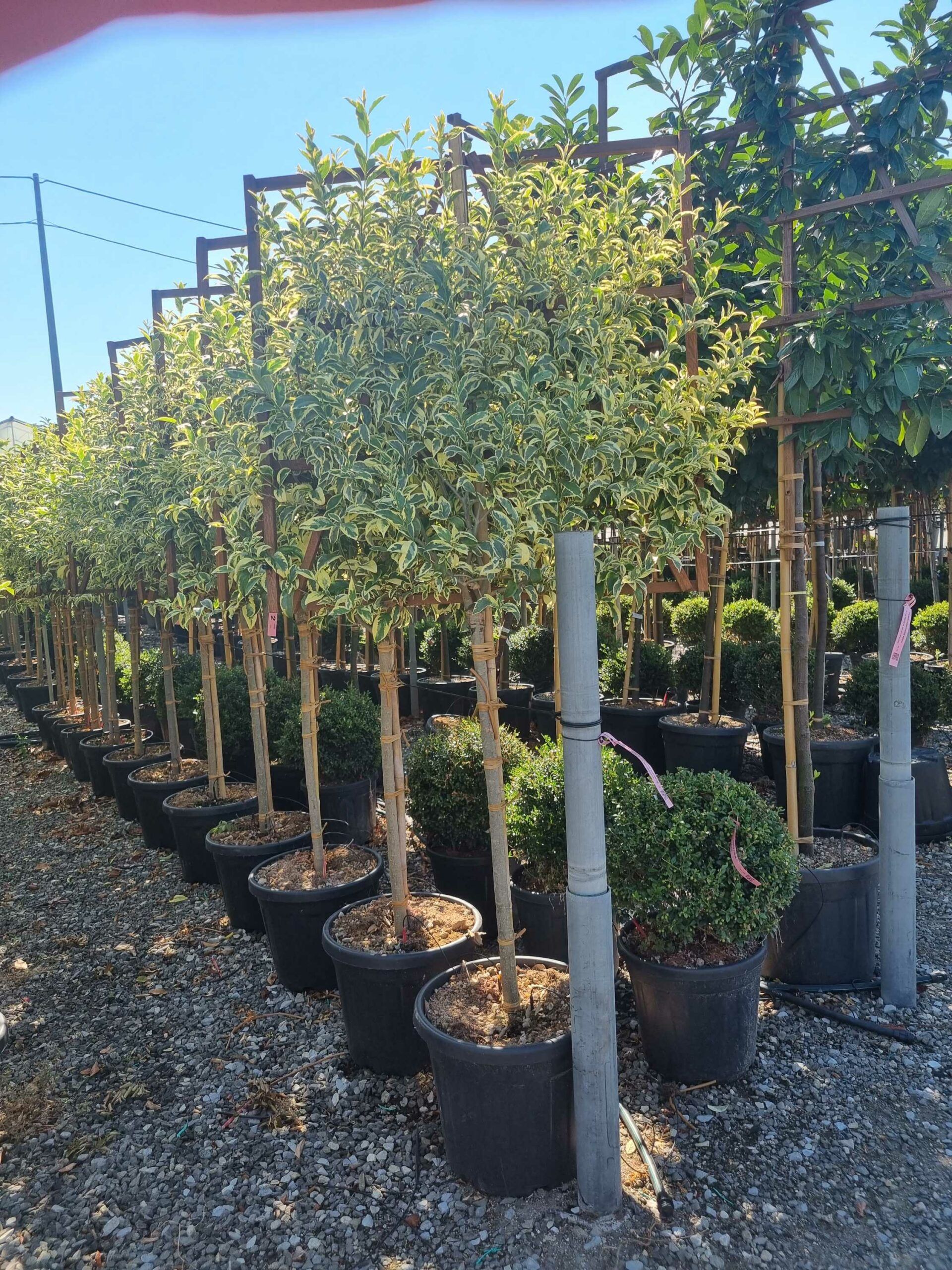 1692692989 scaled b43448ef