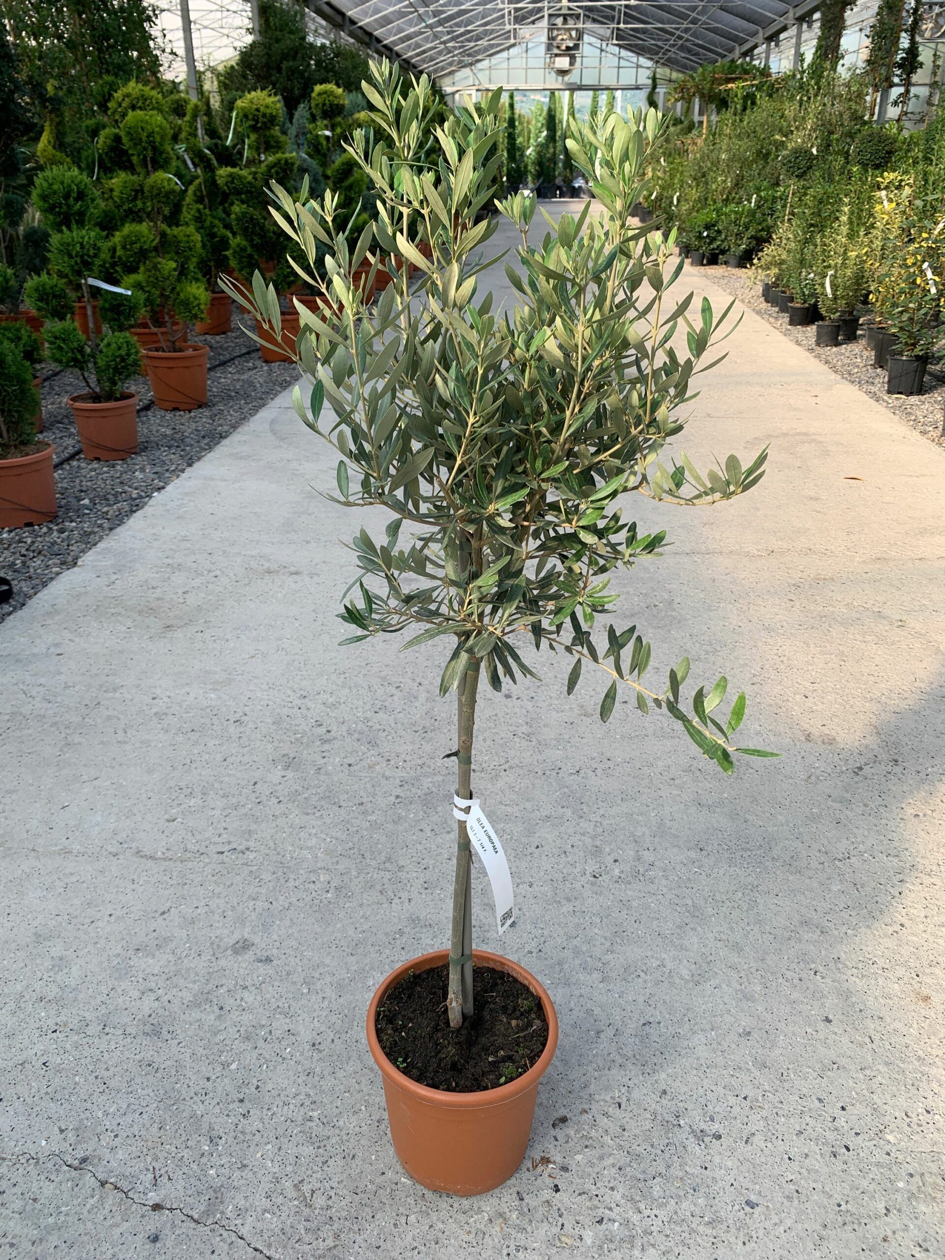 1632837638 scaled b56c975e