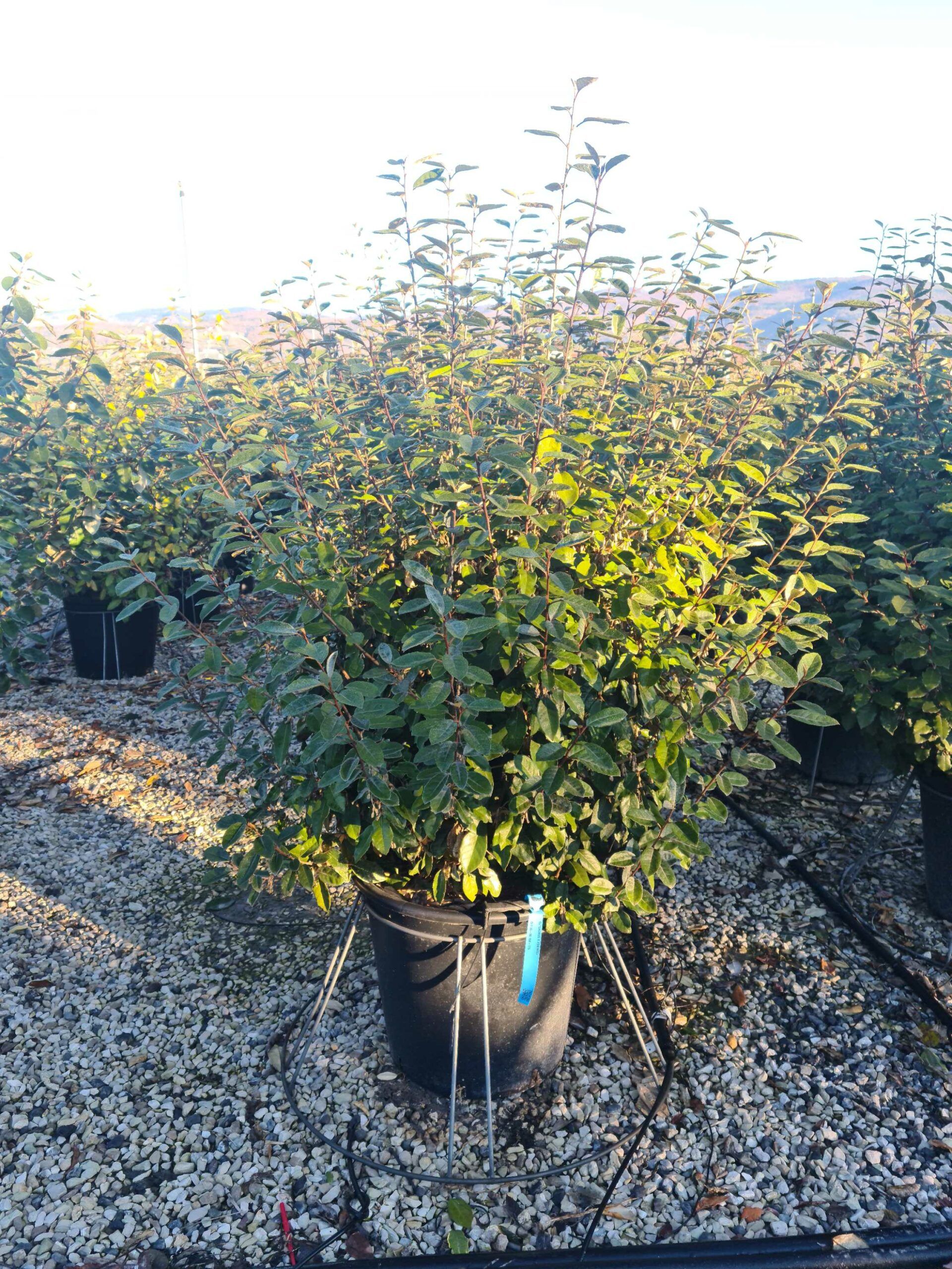 1639727738 scaled b5b82ae7