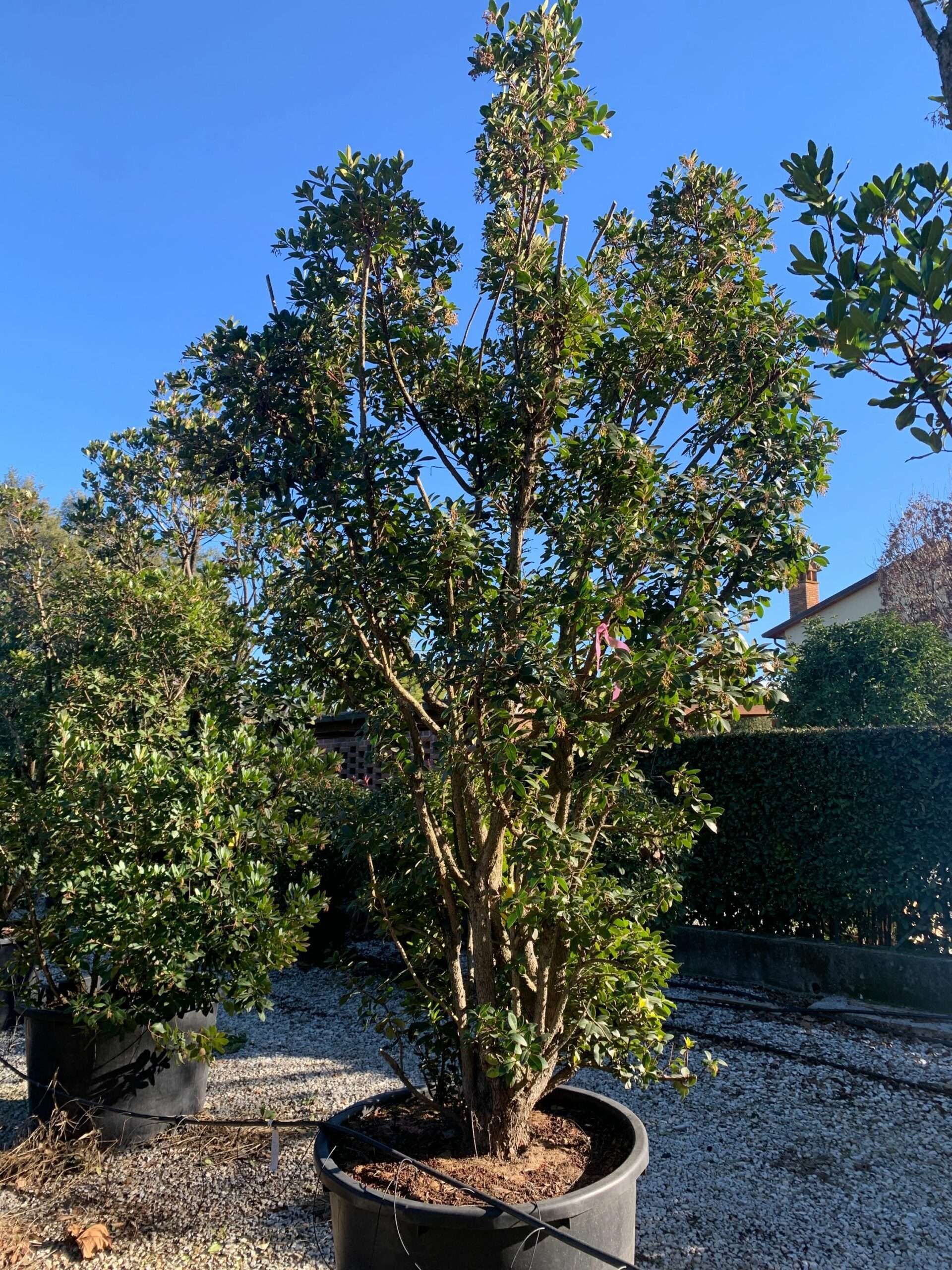 1643707816 scaled b50a8c30