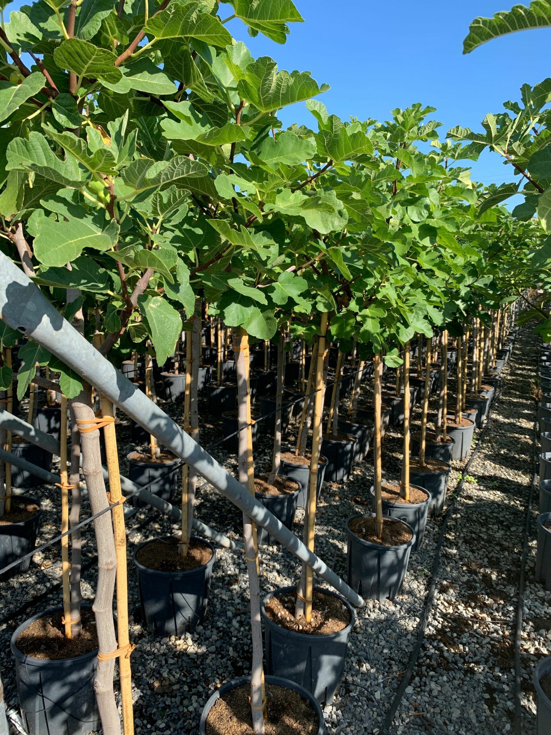 1662105421 scaled b5398c77