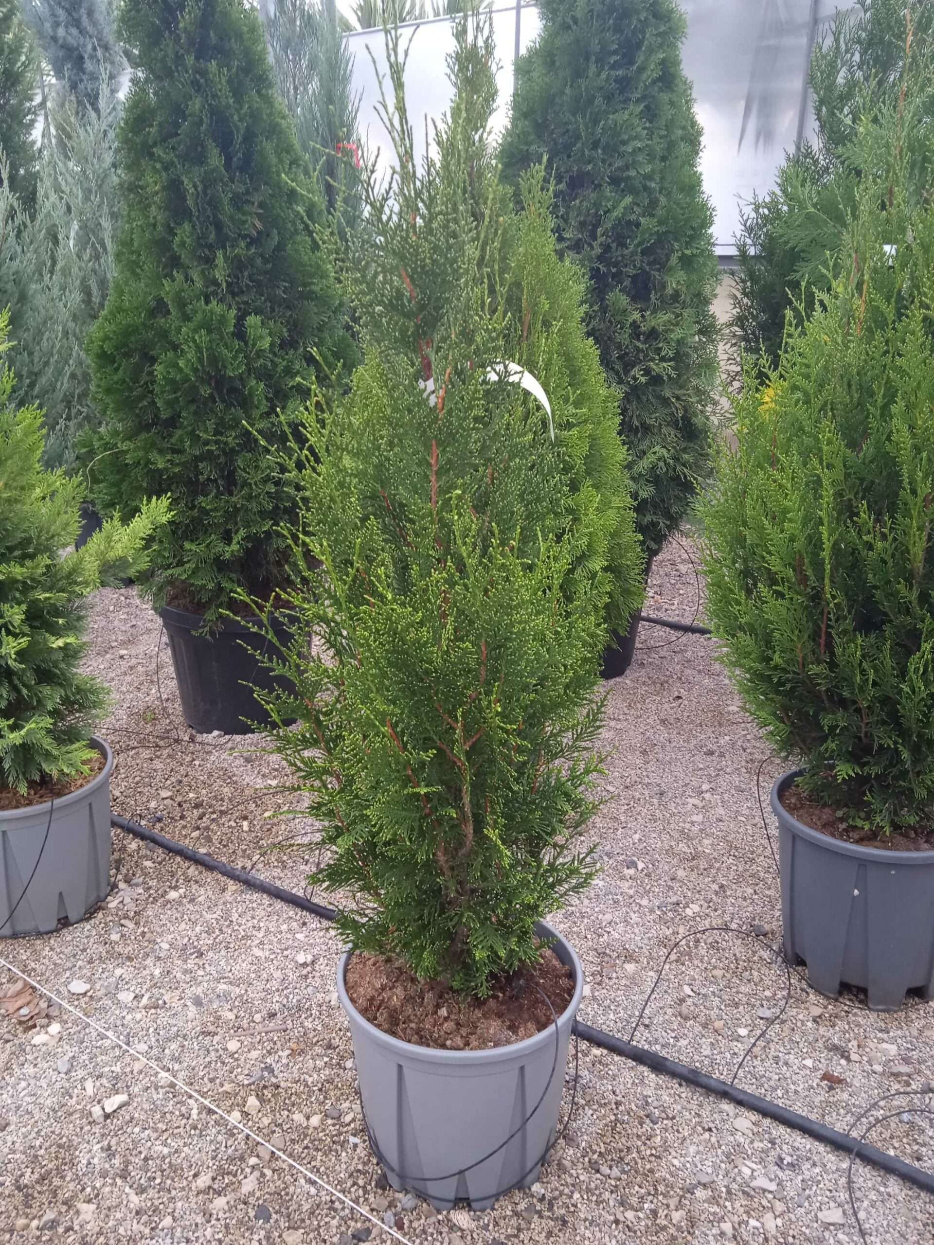 1662193379 scaled b5c64020