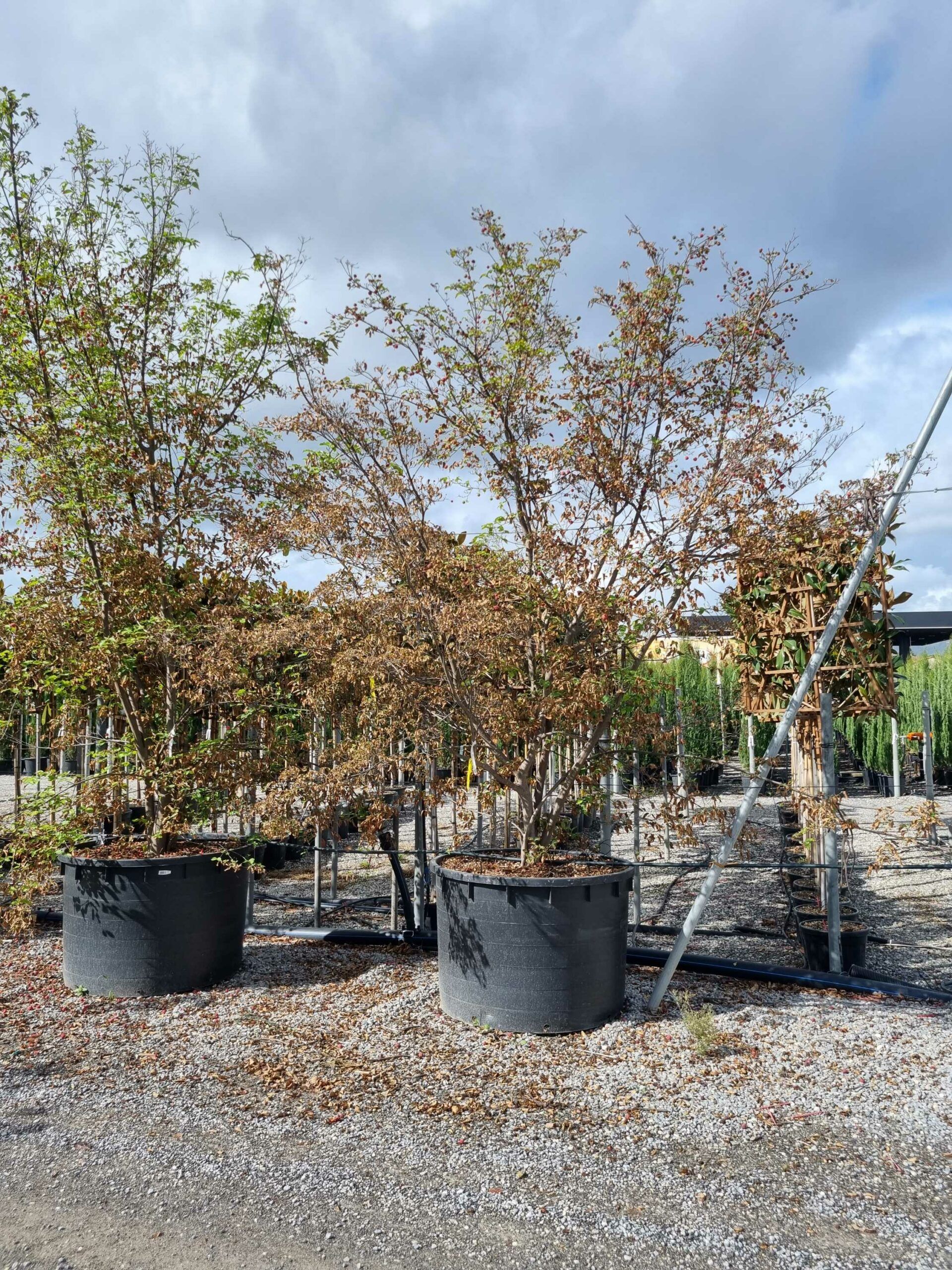 1664442348 scaled b5b1912b