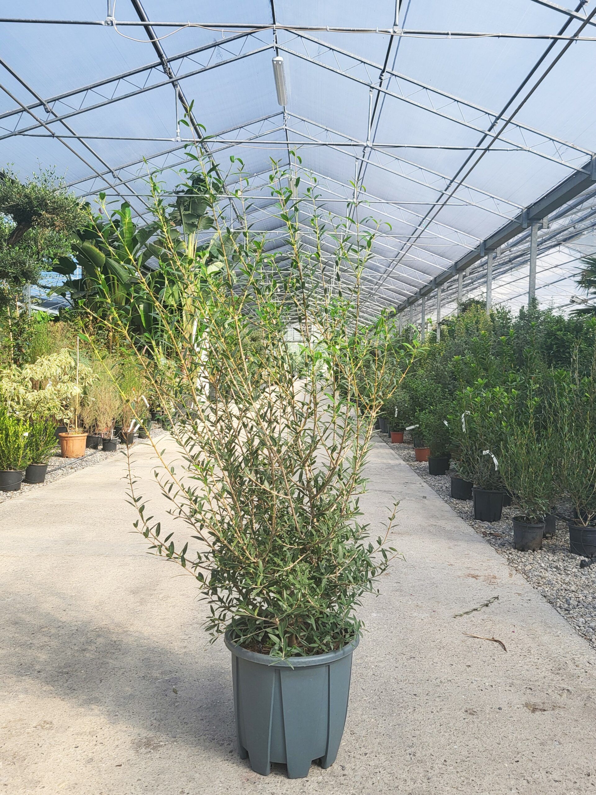 1696398423 scaled b5ac0e26