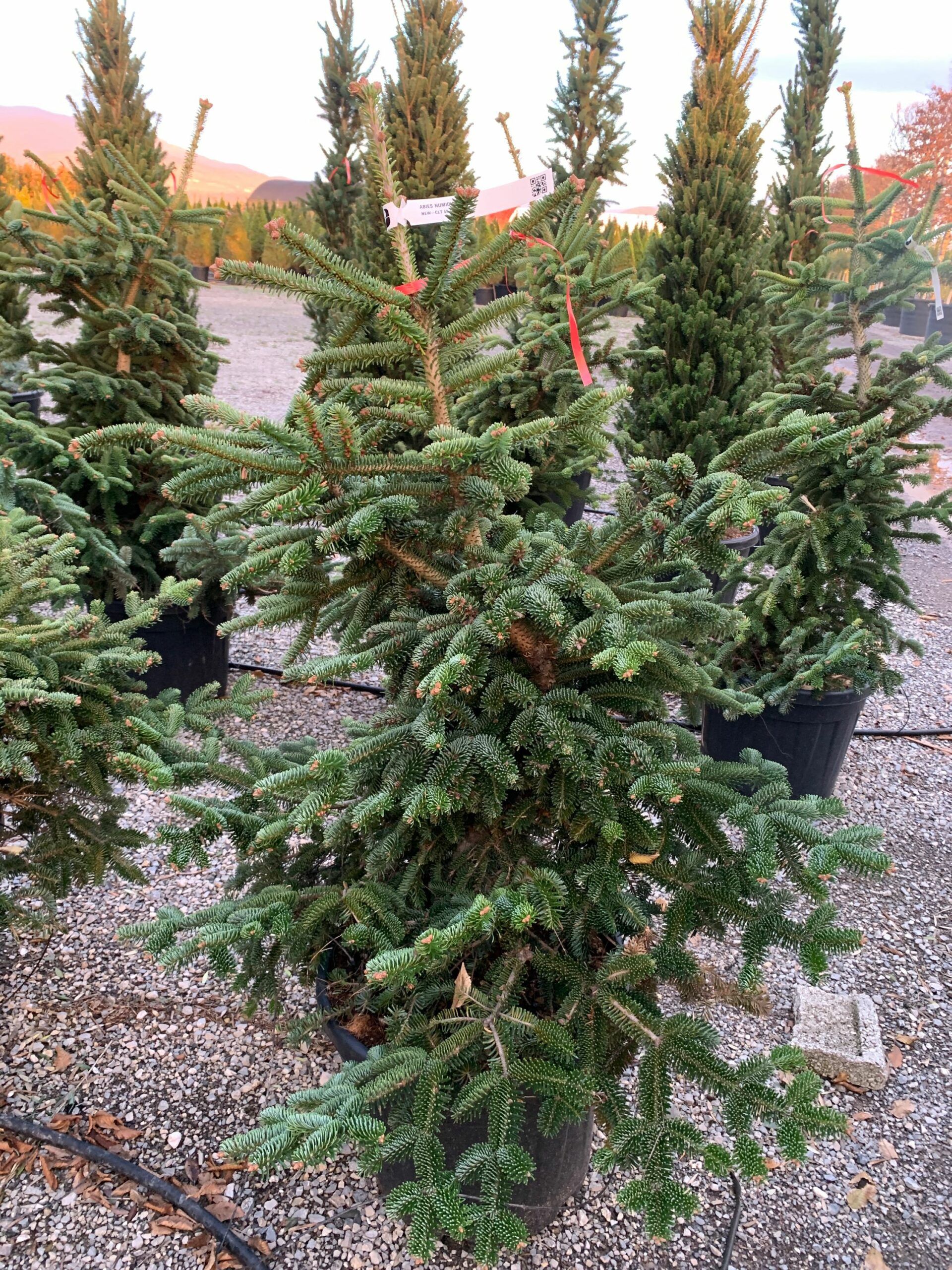 1636990338 scaled b648bbac