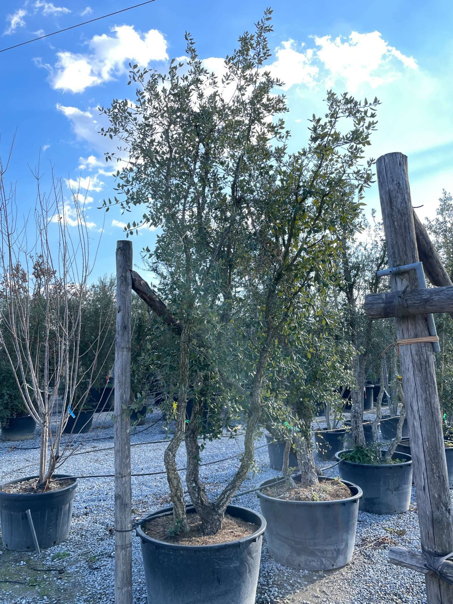 1644241568 scaled b6a5dcf4