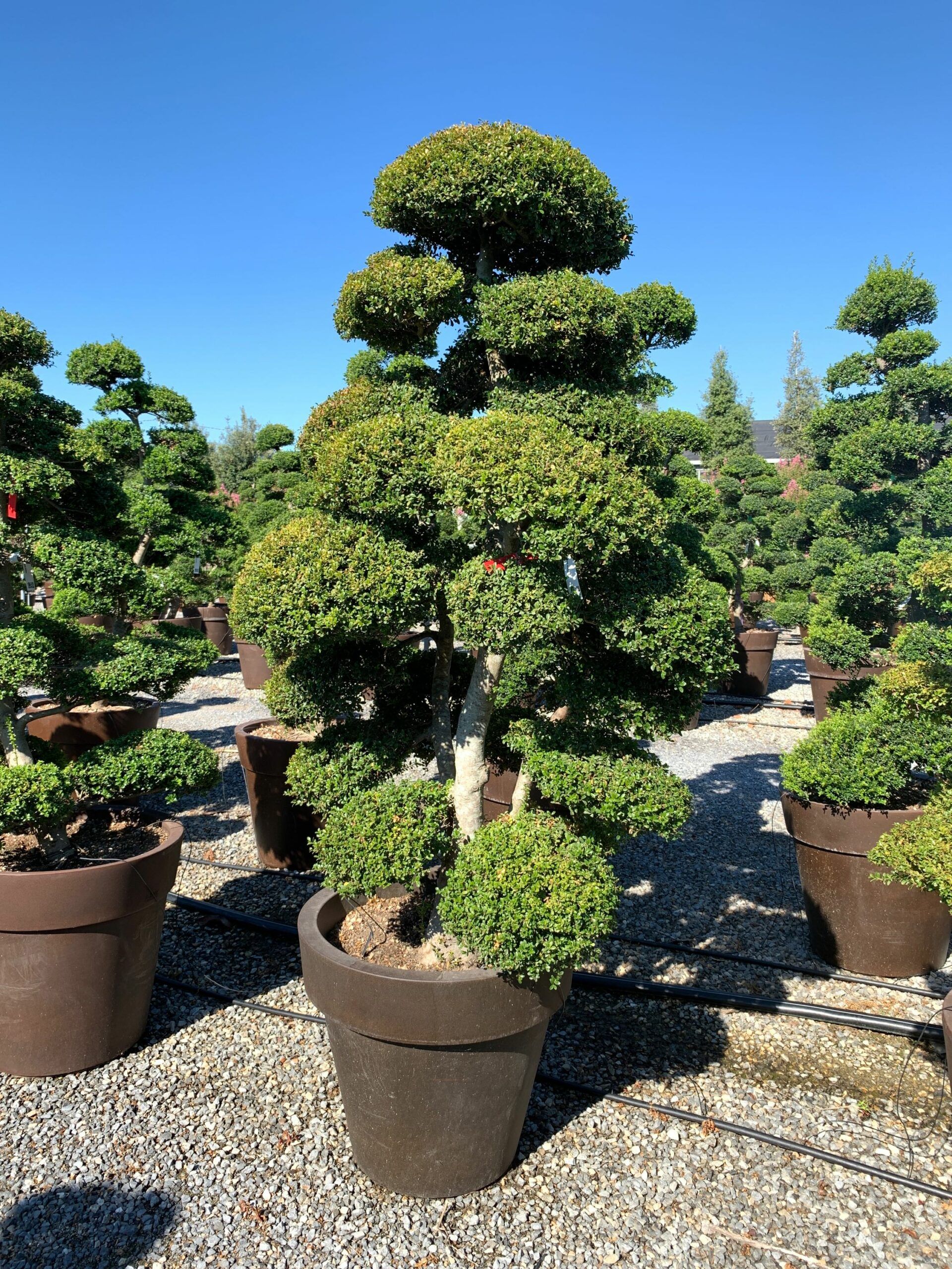 1659599476 scaled b6732244