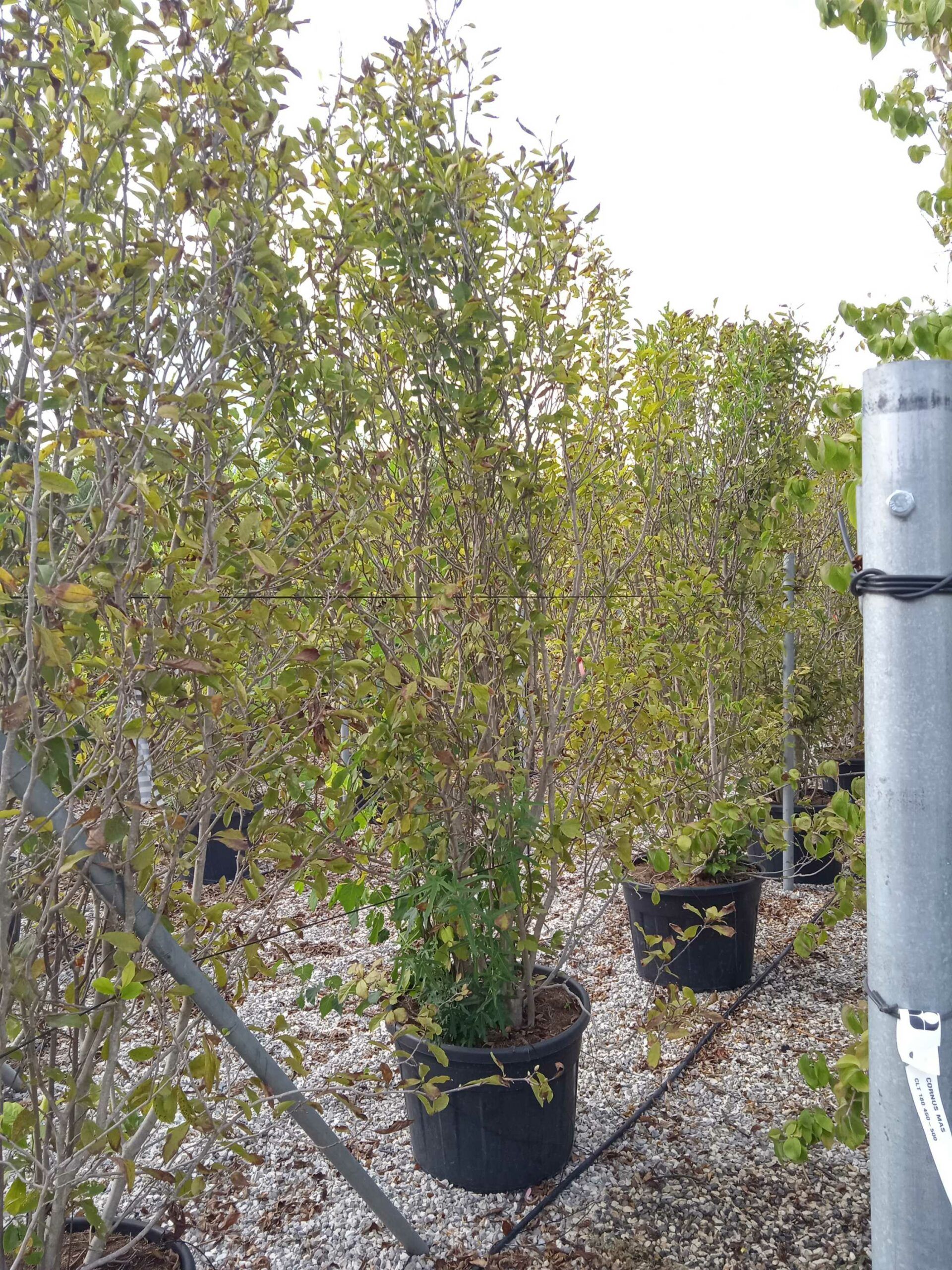 1661958963 scaled b60754f3