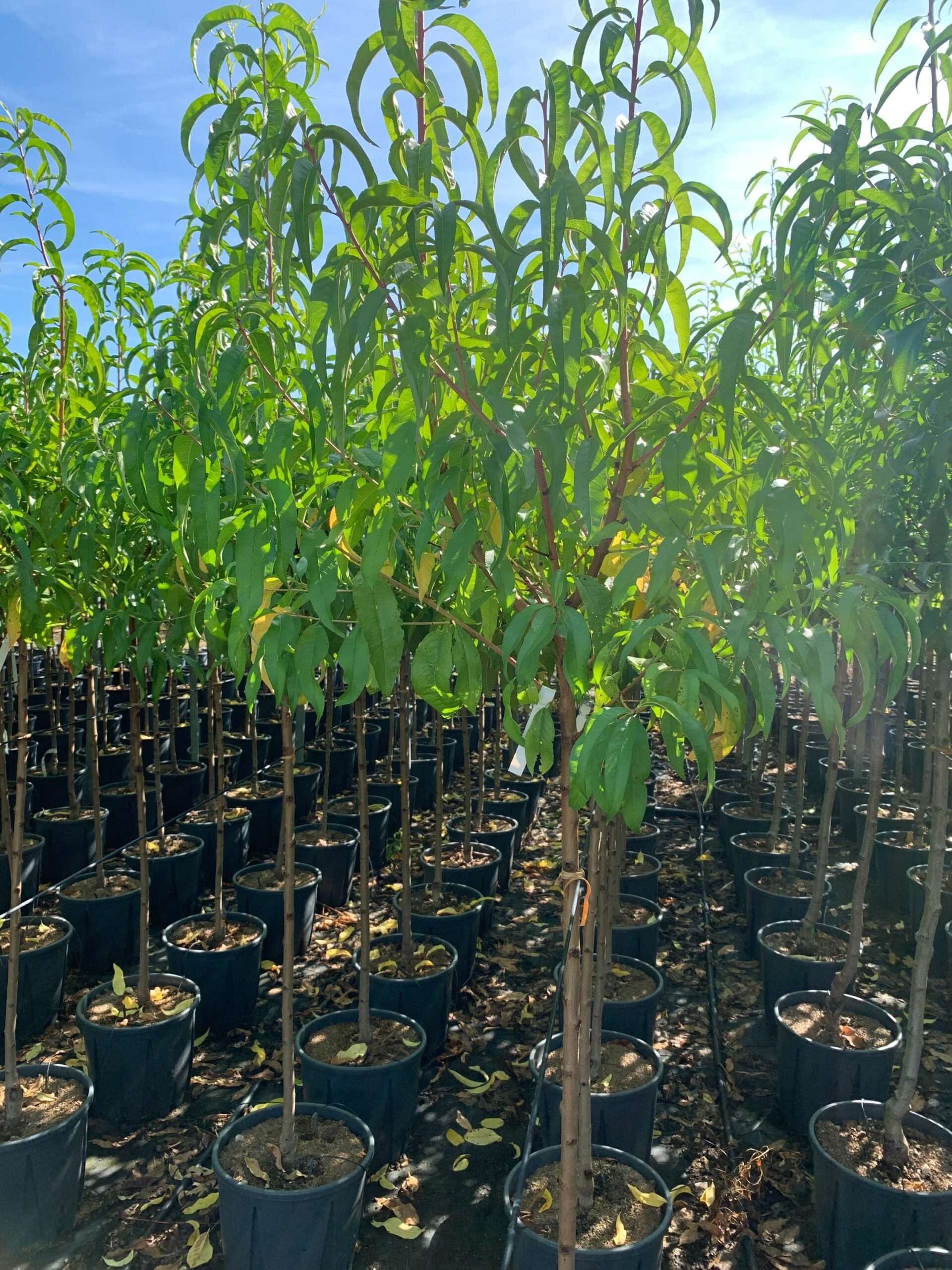 1662366306 scaled b683b88c