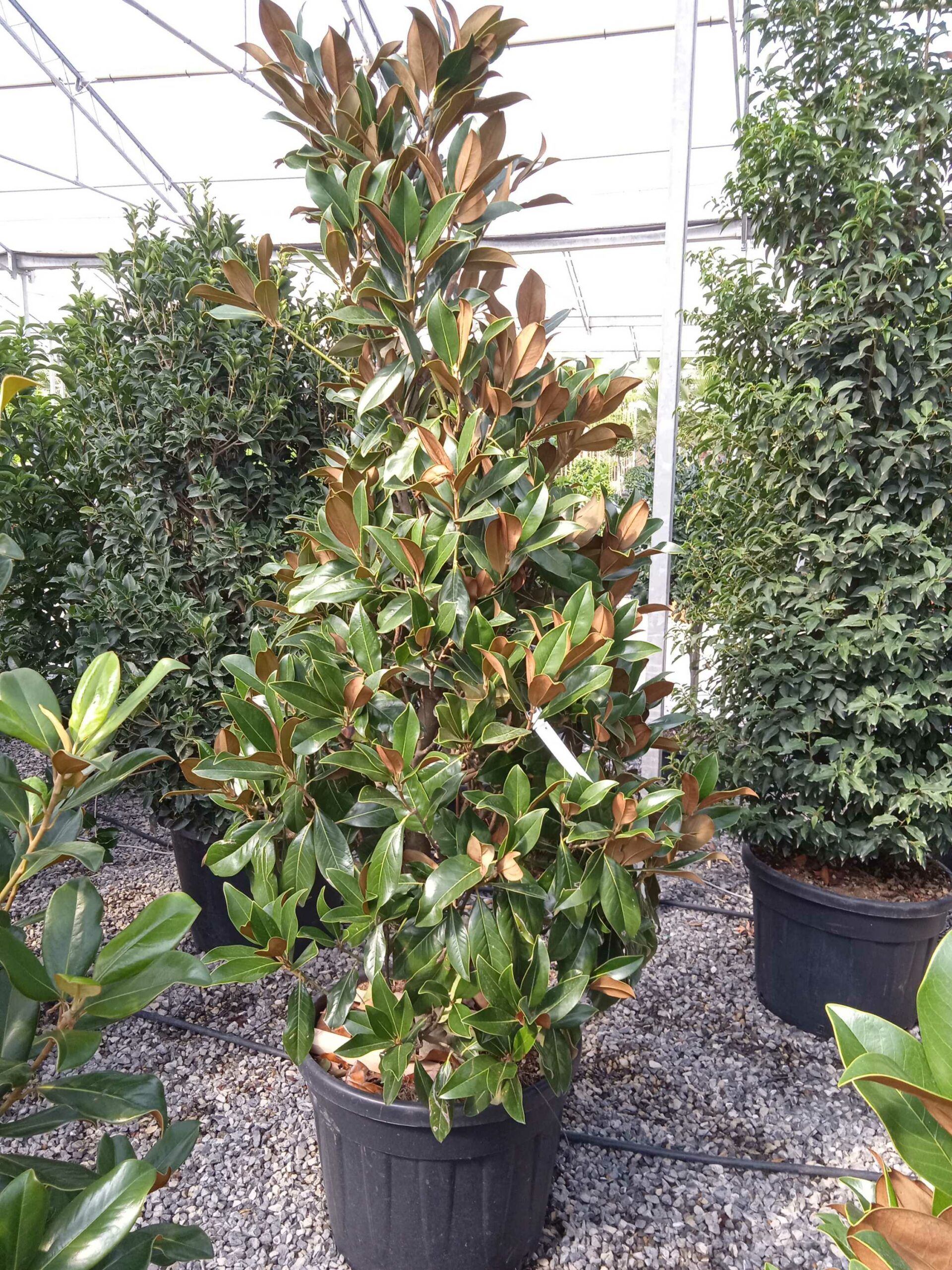 1662369012 scaled b6c57b71