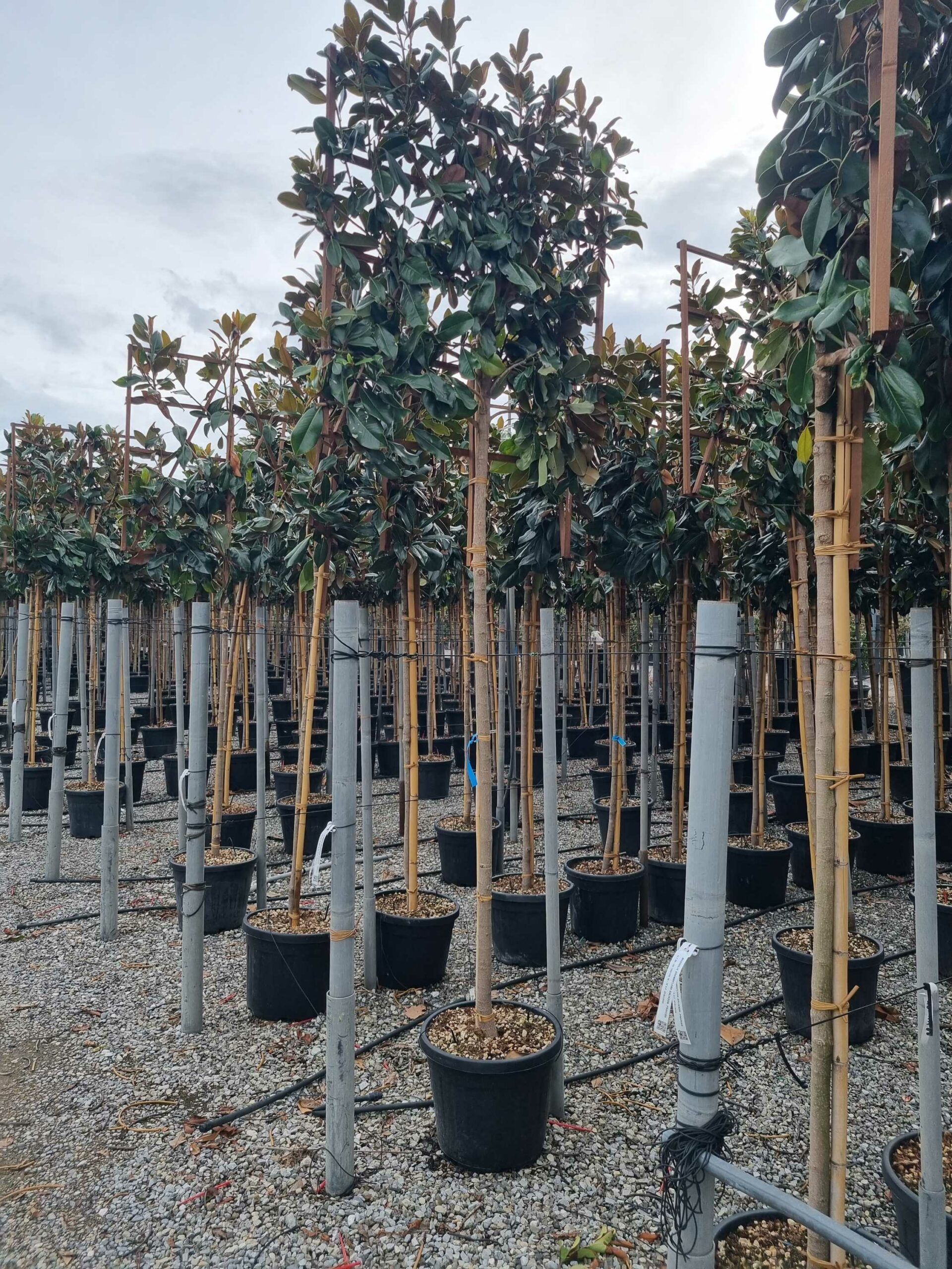 1664463426 scaled b65d4dd3