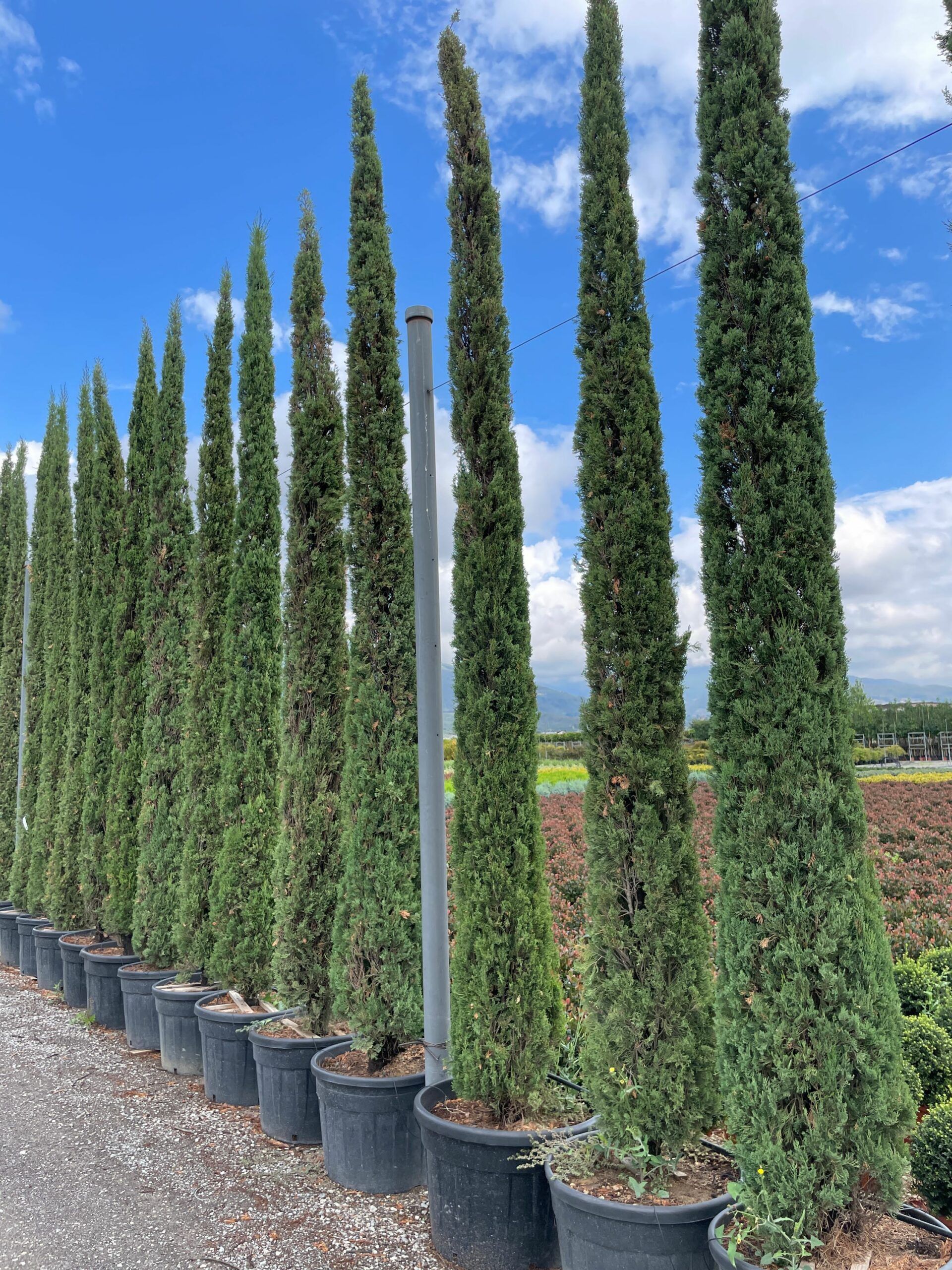 1631959835 scaled b76eb6e7