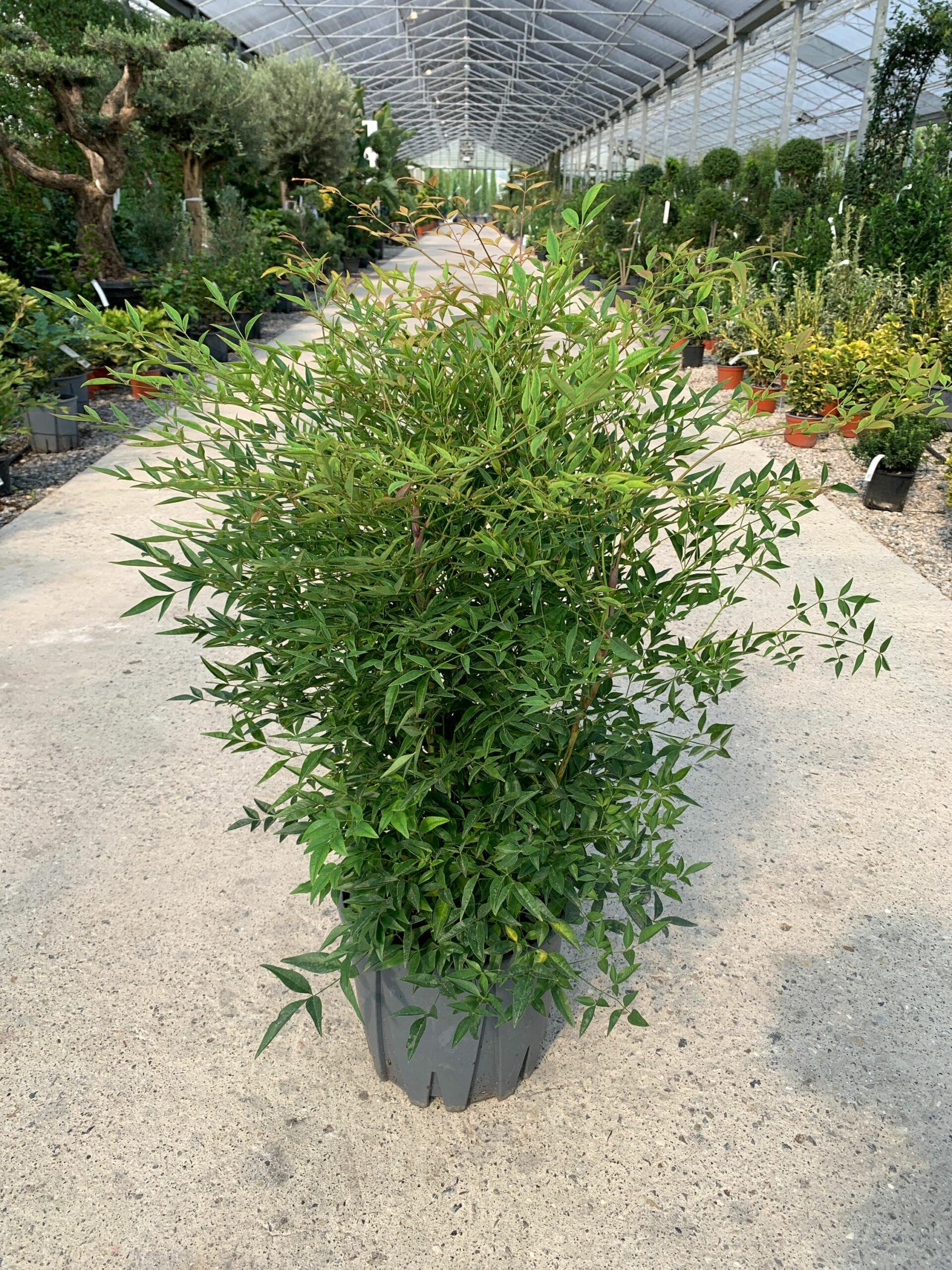 1632746979 scaled b738b2b9