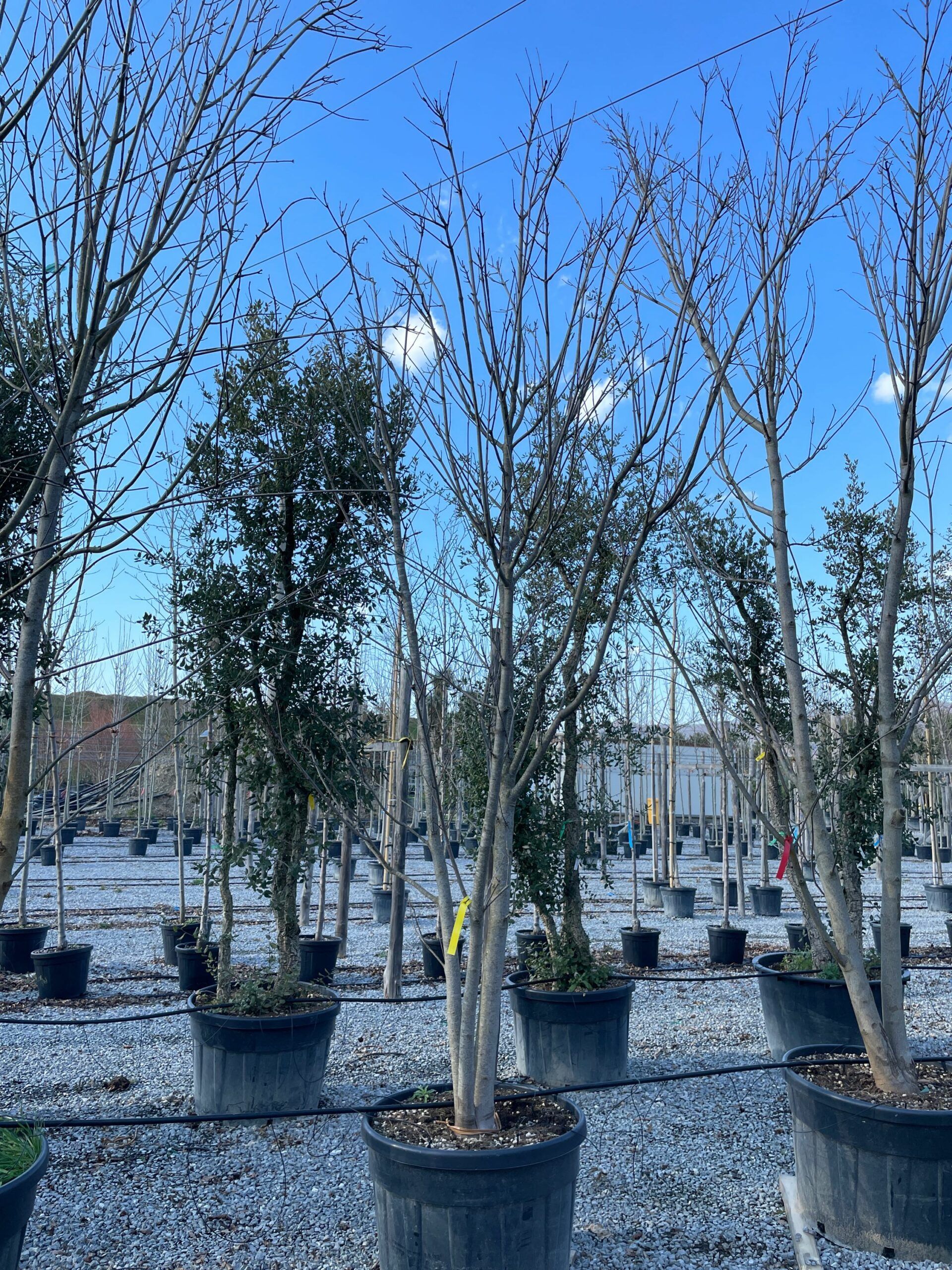 1644241399 scaled b708507f