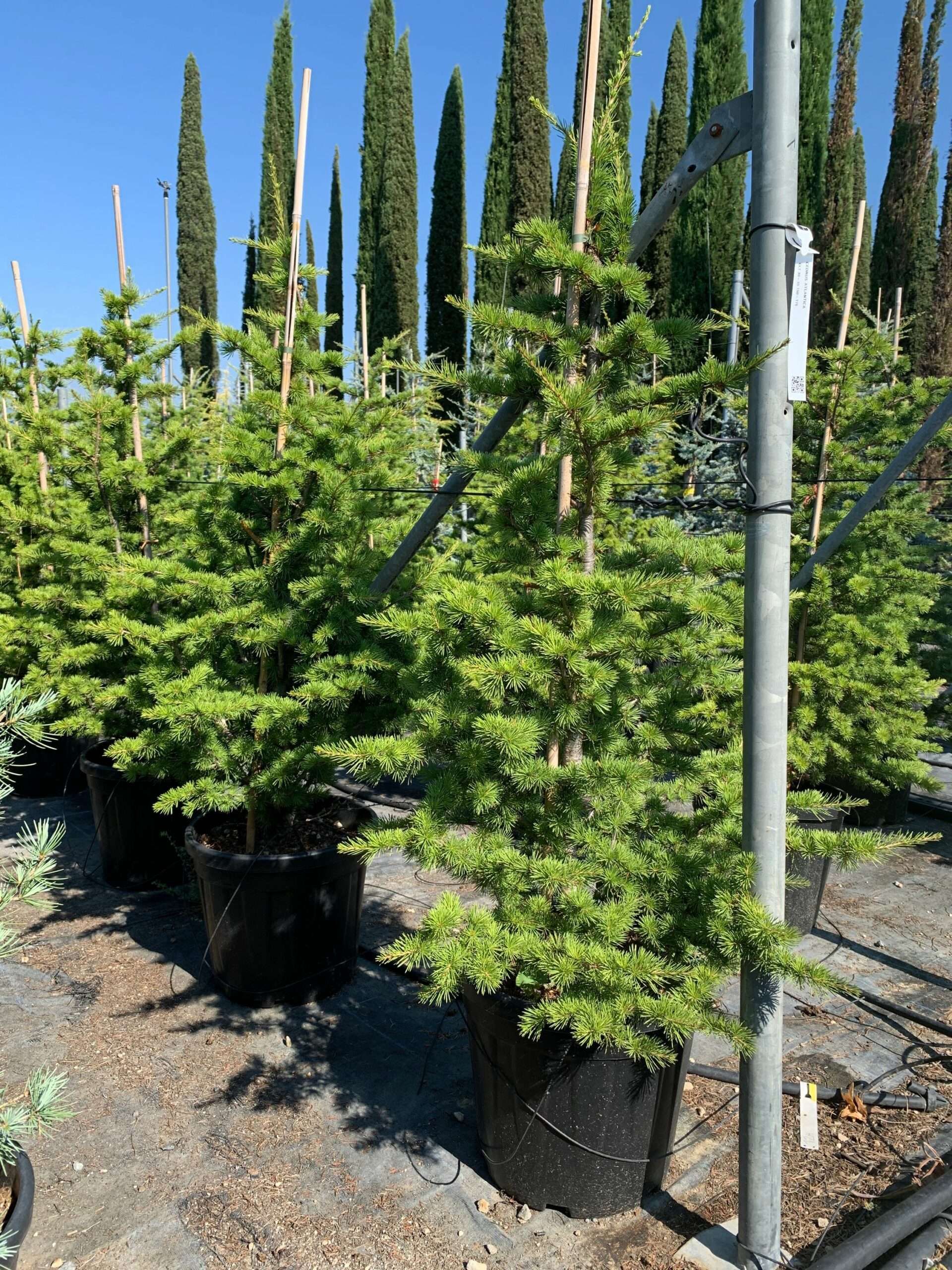 1657871675 scaled b7b56d57