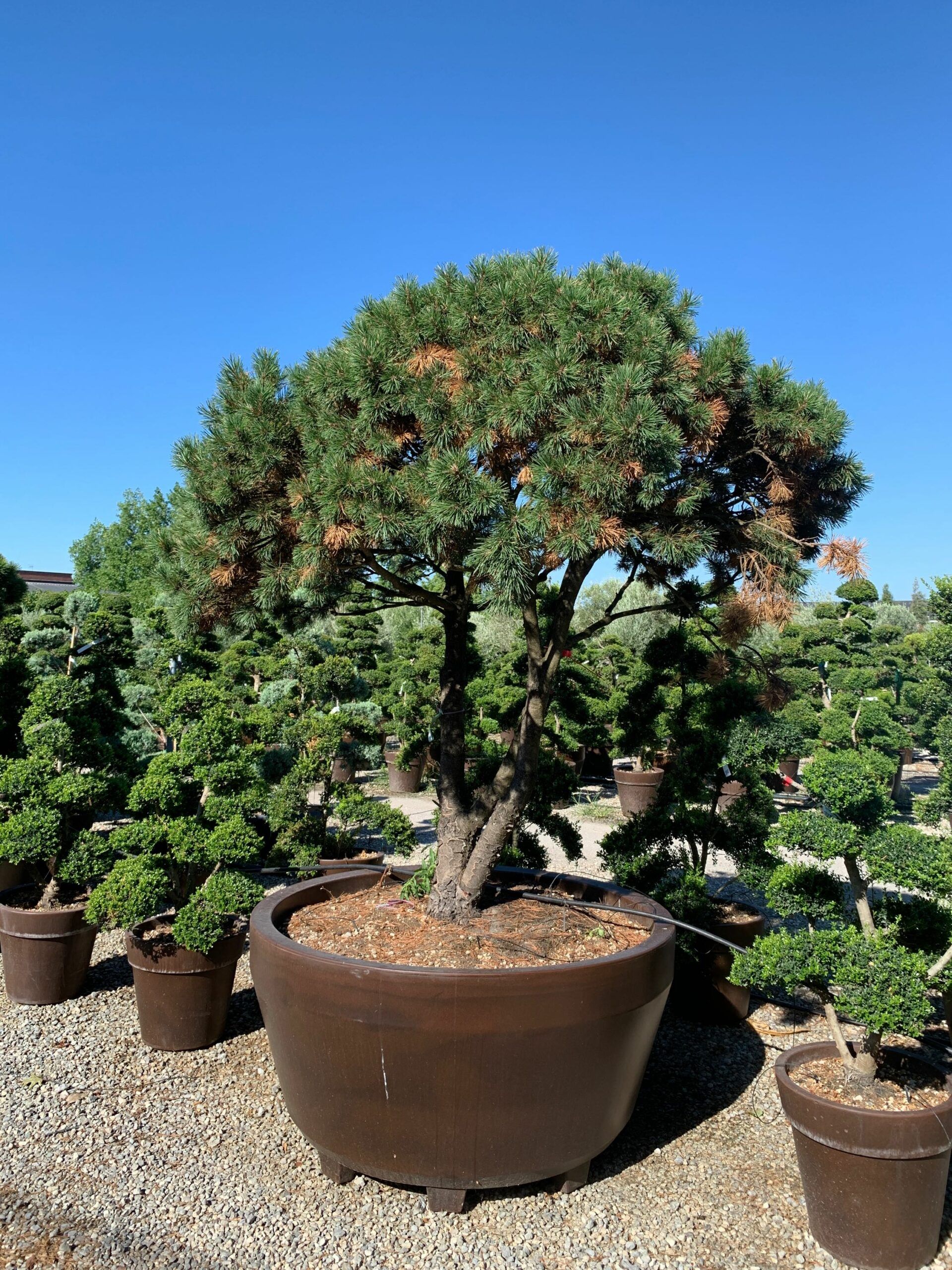 1659598979 scaled b79222c6