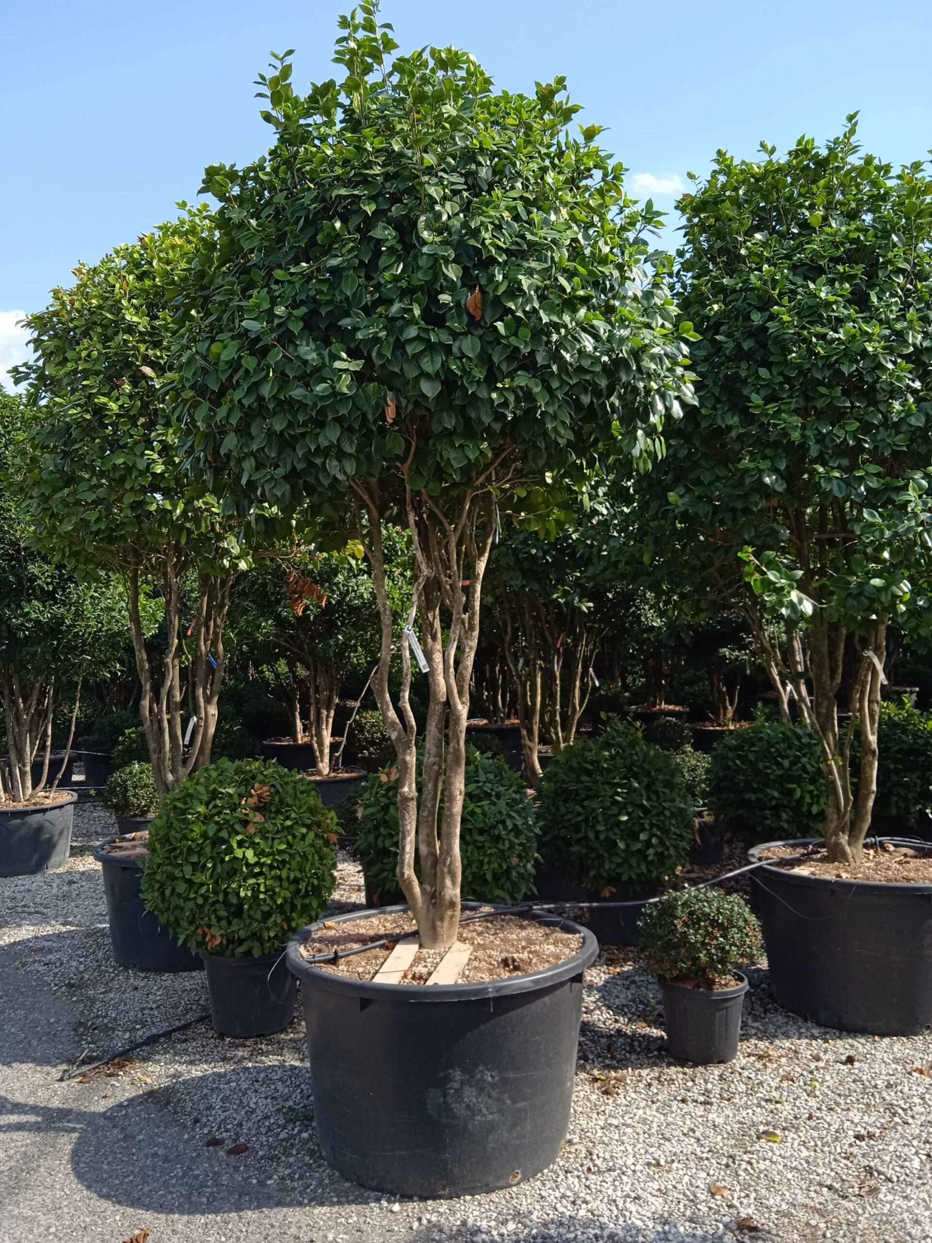 1661867704 scaled b7332a8e