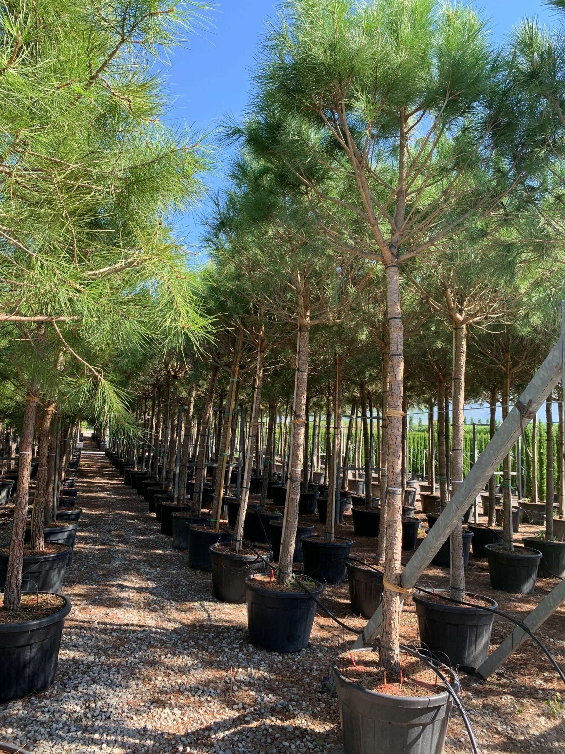 1662452634 scaled b7738a50