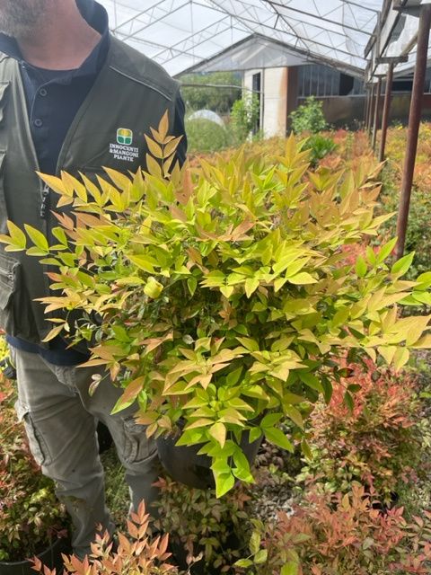 1682683276 IMG 7720 b7d33219