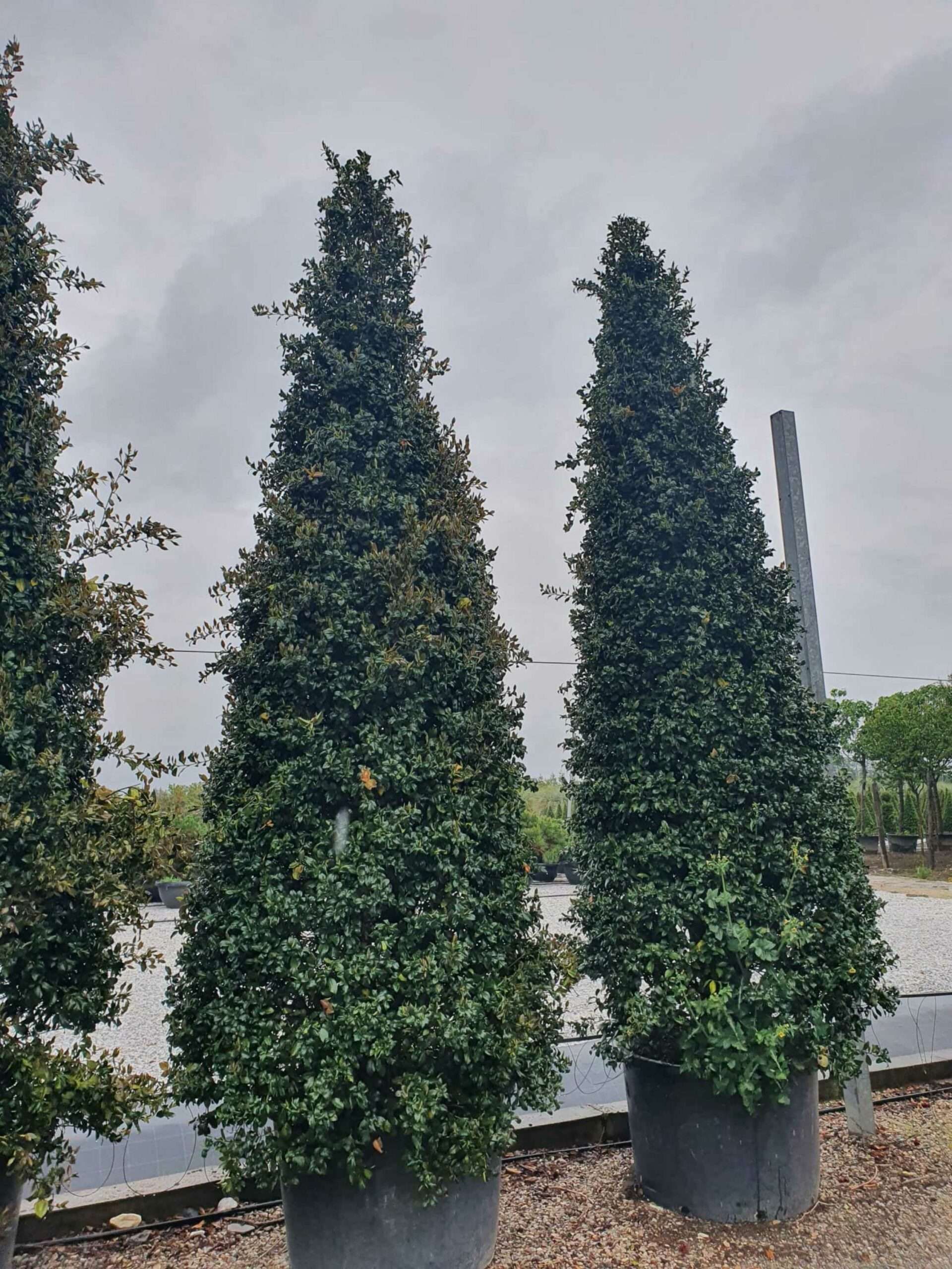 1684308850 scaled b7a5d388